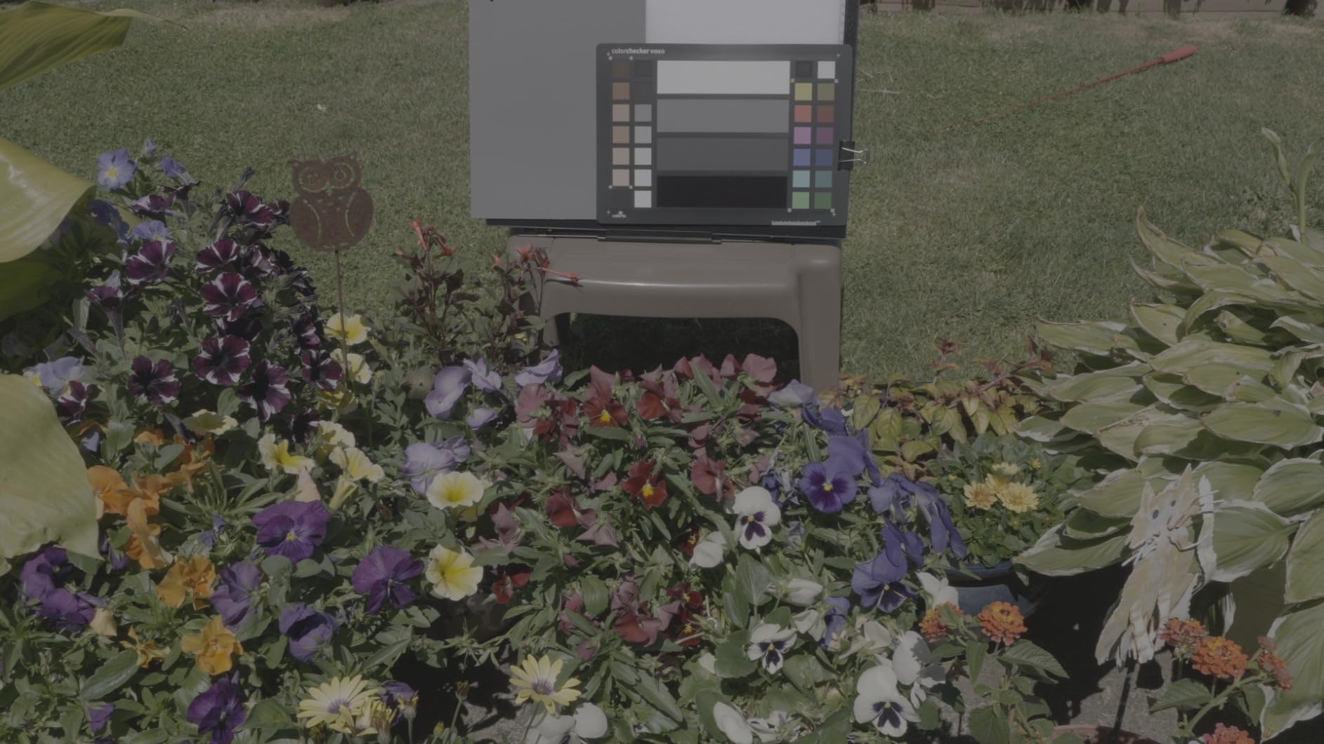 Calibrite ColorChecker Video Color Target w/White Balance Reference for Video Production, Vectorscope and Waveform Optimized Layout with Skin Tones and Grays customer photo 2