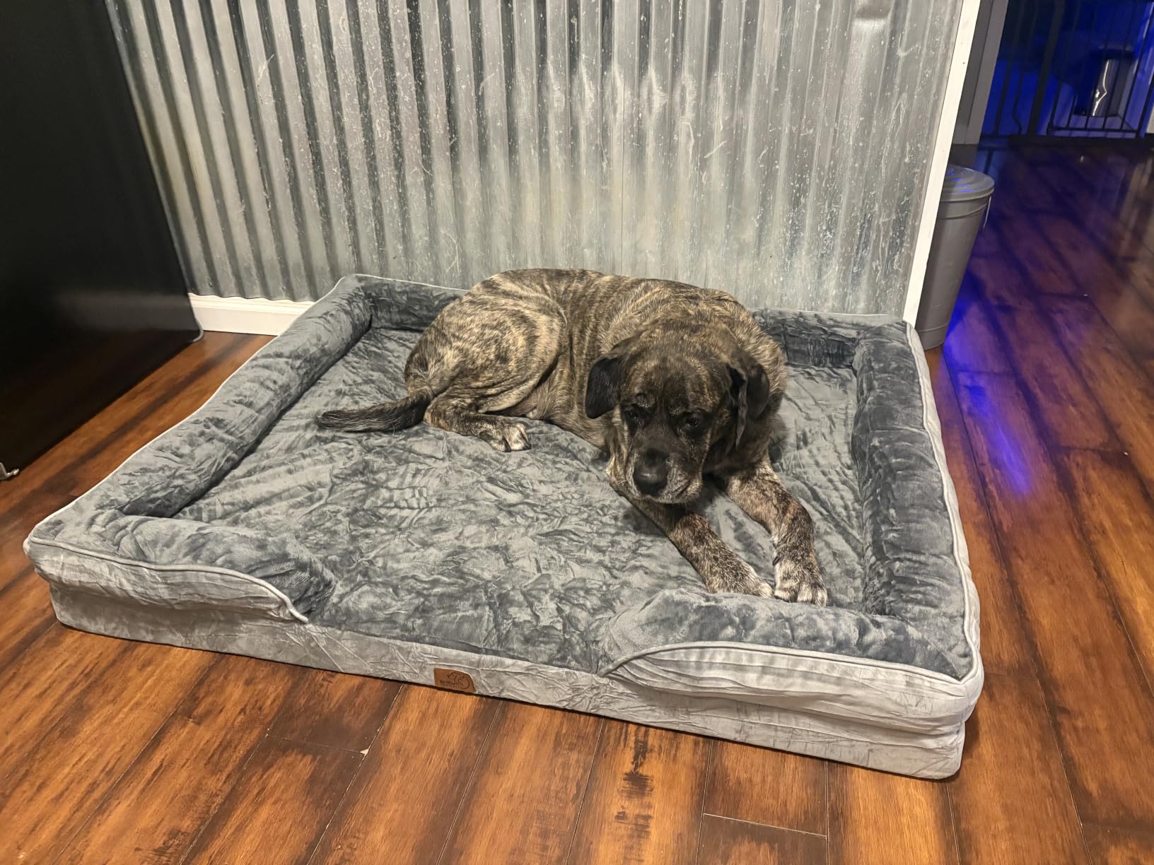 Bedsure Orthopedic XXL Dog Bed Extra Large with Removable Washable Cover | 52