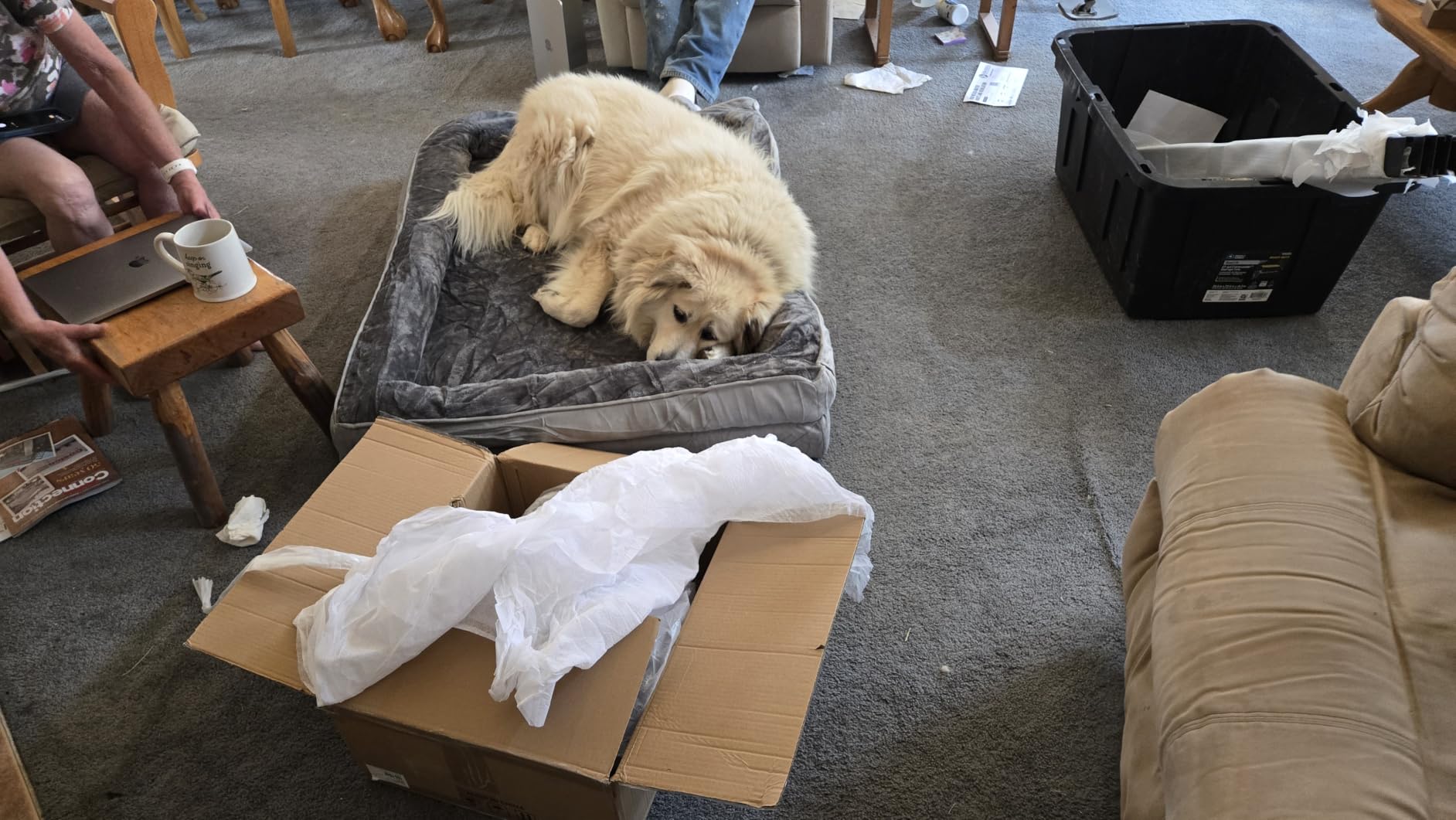 Bedsure Orthopedic XXL Dog Bed Extra Large with Removable Washable Cover | 52