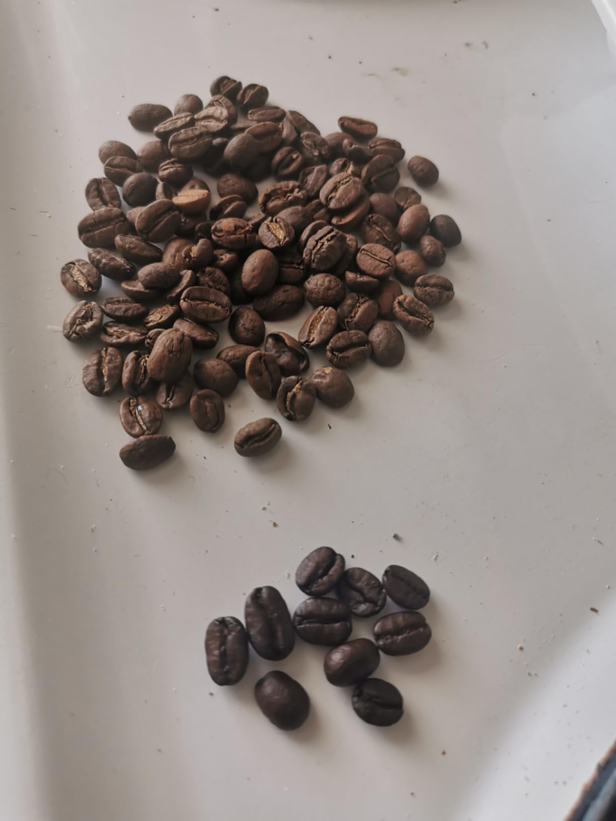 Split Oak Coffee Roasters Gourmet Gift Box - Whole Bean Variety Pack Gift Box, 9 Medium Roast Coffees from Around the World - Global Tasting Collection, 2oz Bags, Roasted in the USA customer photo 2