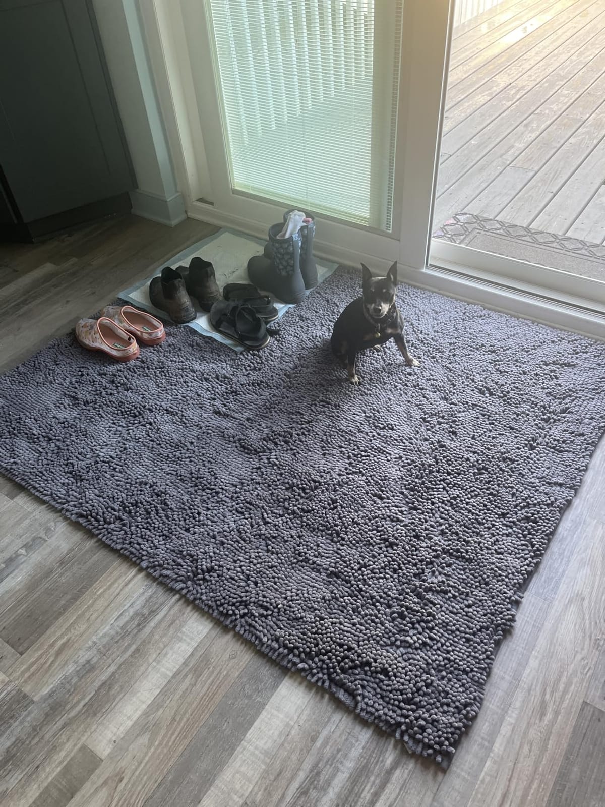 Muddy Mat | Super Water Absorbent Door Mat Indoor, Microfiber Quick Dry Chenille Entryway Rug customer photo 2