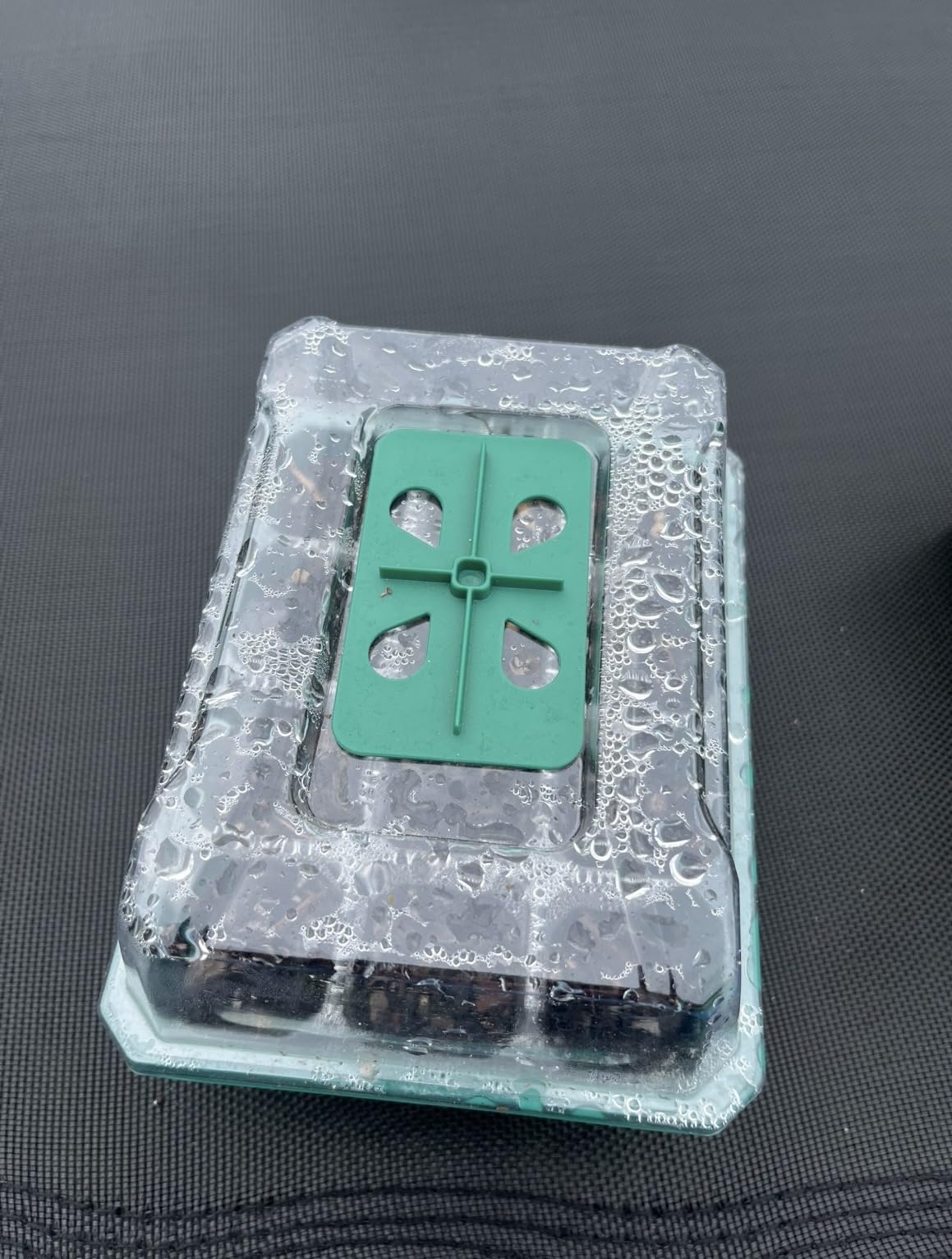 VIVOSUN 6-Pack Seed Starter Trays, 72-Cell Starter Kit with Humidity Dome customer photo 1
