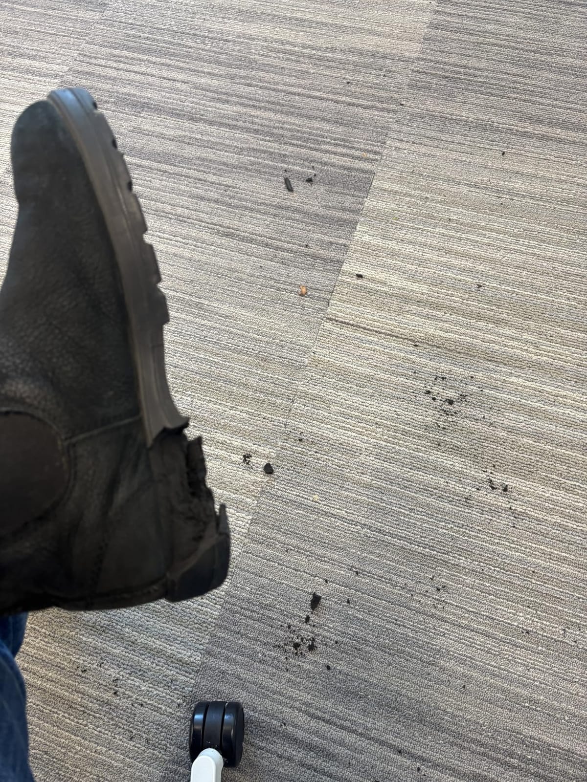 Blundstone Lug Chelsea Boots for Men & Women customer photo 2