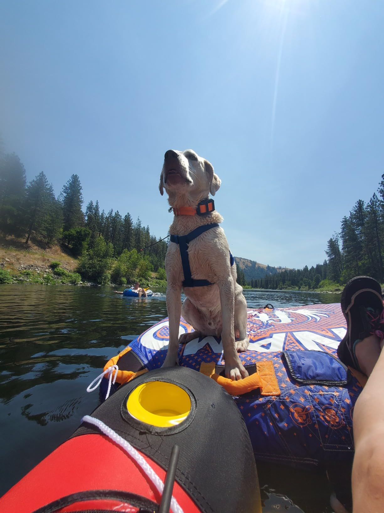 SOLSTICE Inflatable Pup Plank, Dog Water Ramp for Boats & Docks, Boost Step customer photo 1