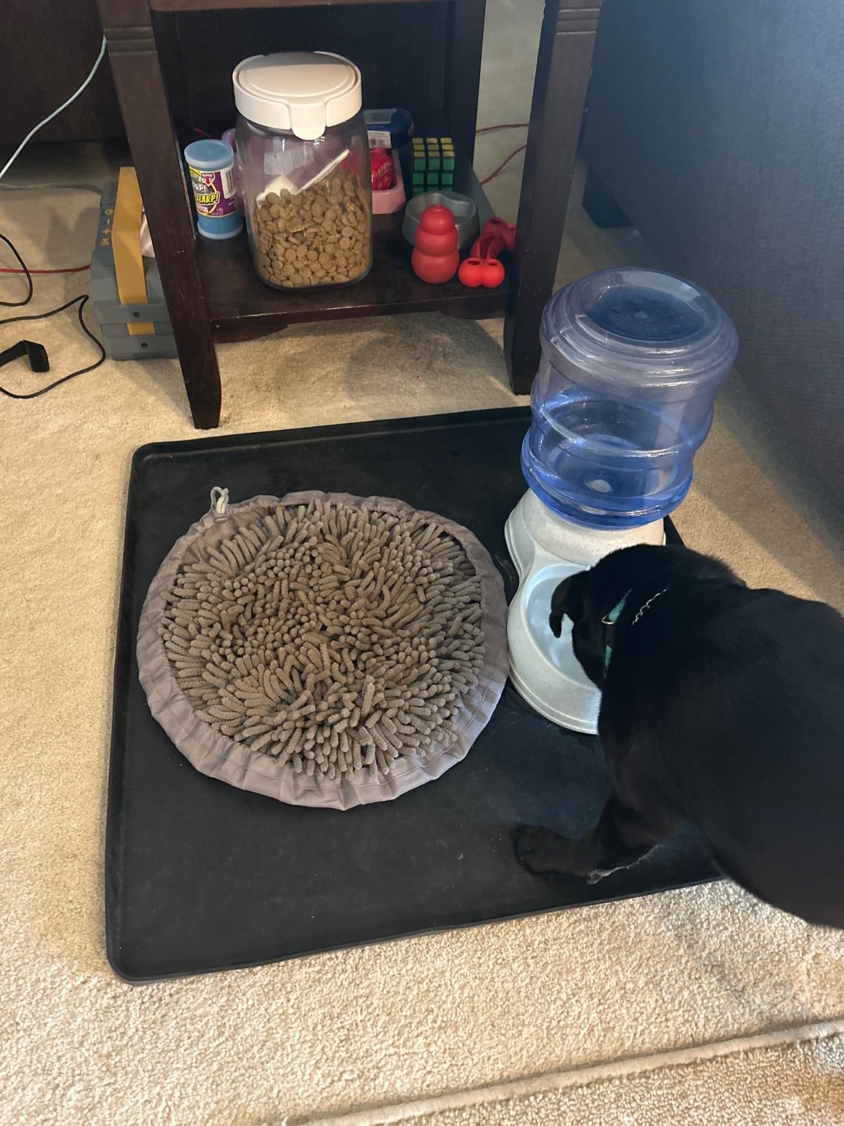 Pet Parents Forager Bowls, Slow Feeder Dog Bowls with SoftSnout & Non-Slip Backing, Dog Feeder Mat & Snuffle Mat (Forest Modern Grey) customer photo 2