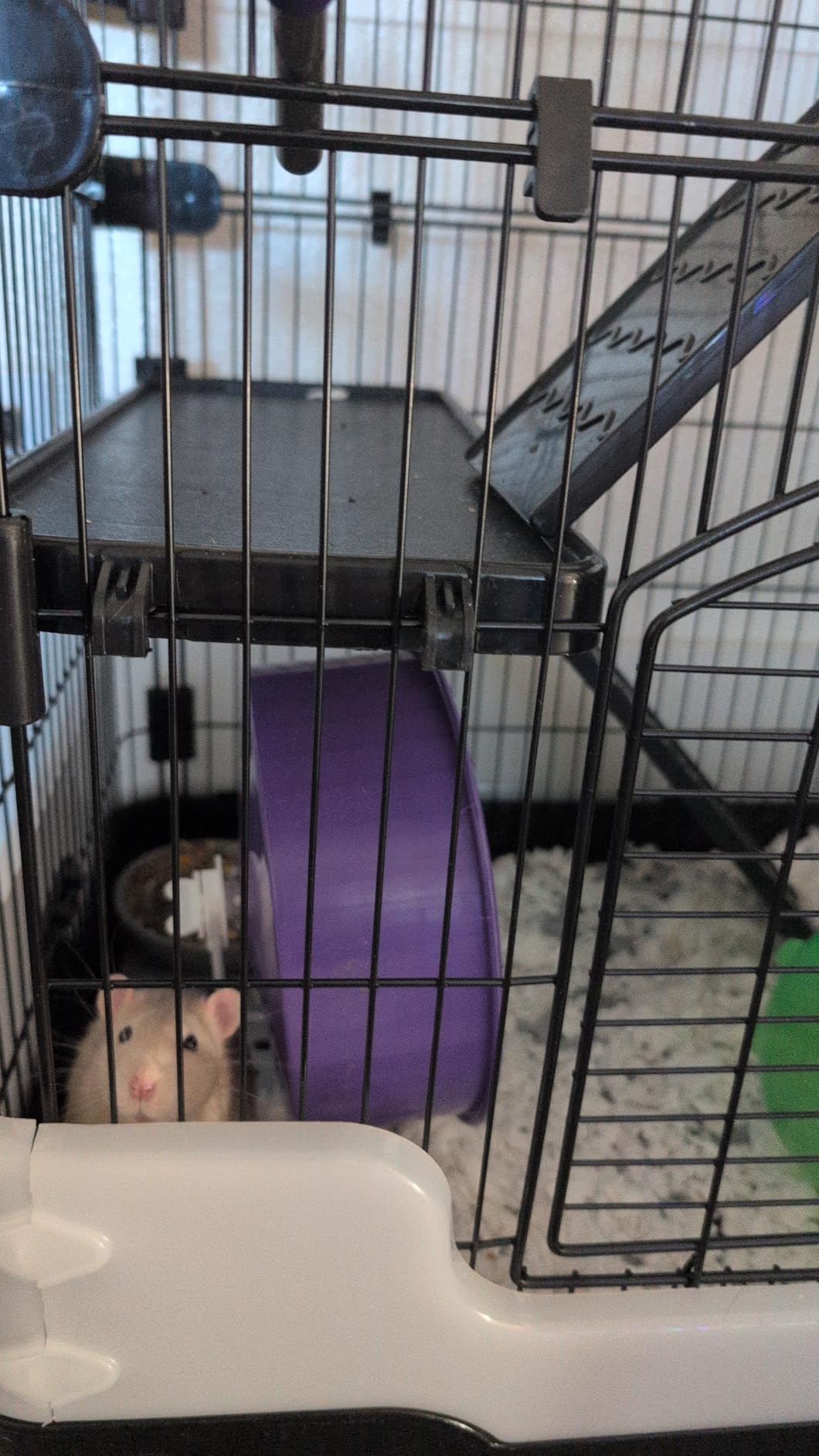 Homey Pet Rat Cage, Small Animal Cage for Ferret, Chinchilla, Guinea Pig | 3-Tier Black customer photo 2