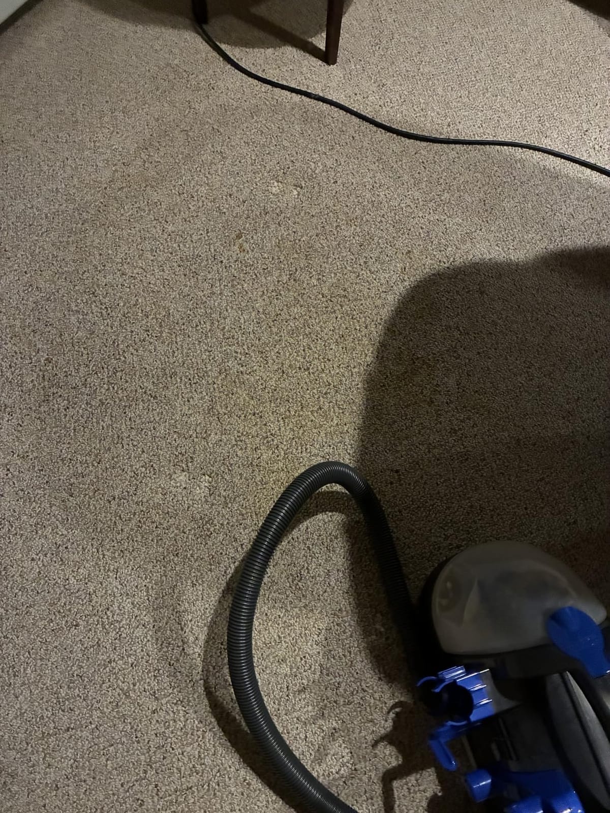 BISSELL Little Green Pet Deluxe Portable Carpet Cleaner, 3353 | Car & auto detailing capability; Gray/Blue colorway; tackles pet messes on upholstery & vehicles customer photo 1