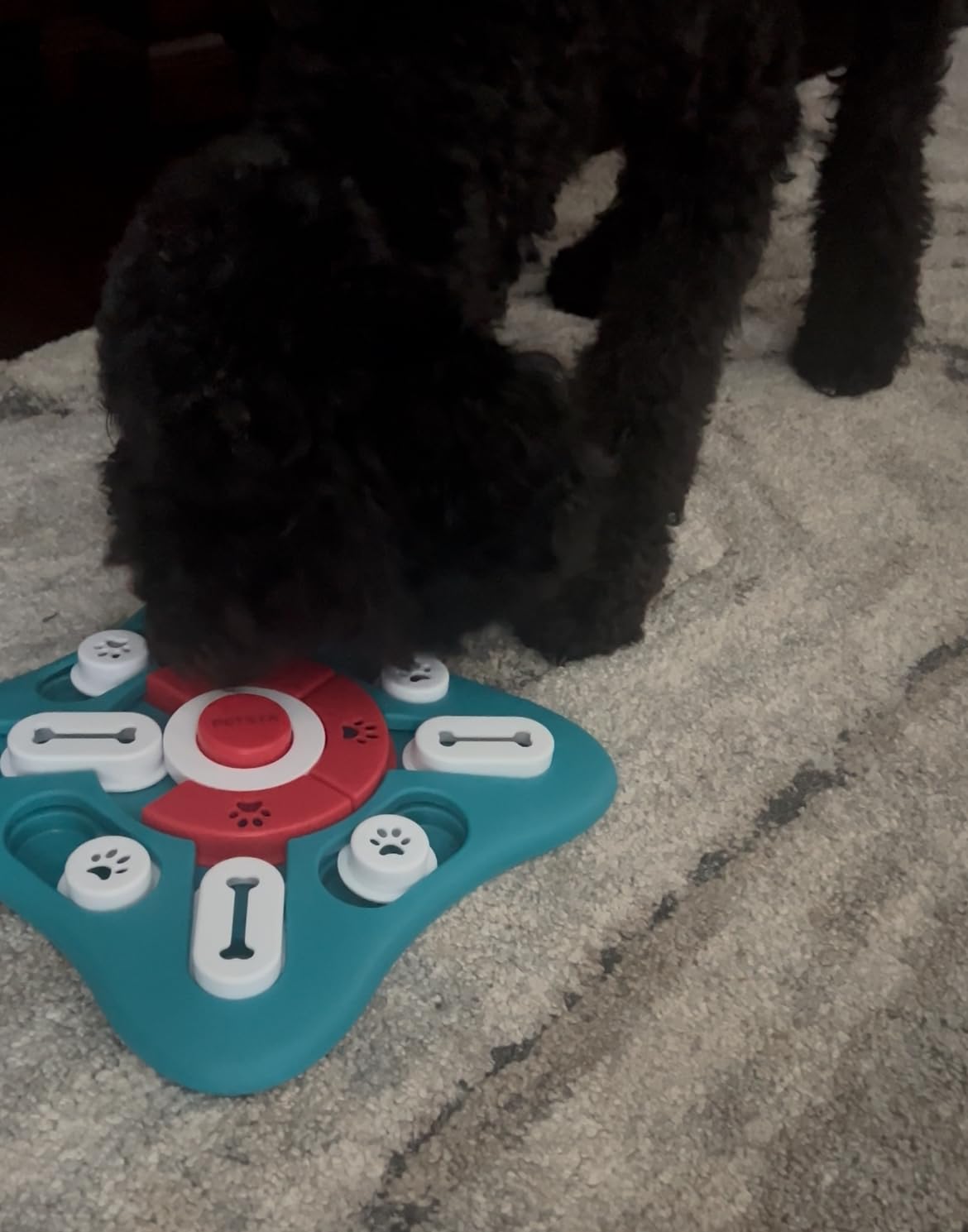 PETSTA Dog Puzzle Toys, Treat Dispensing Dog Enrichment Toys for IQ Training and Brain Stimulation, Interactive Mentally Stimulating Toys as Gifts for Puppies, Cats, Dogs customer photo 1