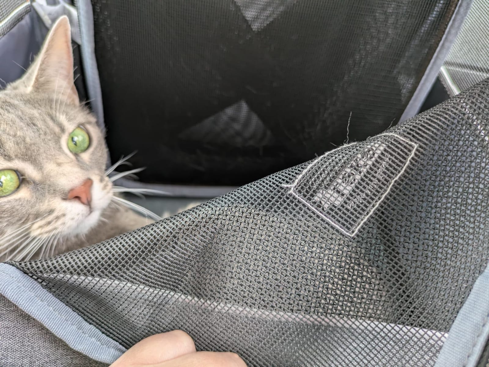 Cat Carrier Backpack, Expandable Pet Carrier with Sun Shade & Full Front Opening, Breathable Mesh Backpack for Small Dogs & Medium Cats Up to 18 Lbs, Foldable for Hiking, Camping (Grey) customer photo 1