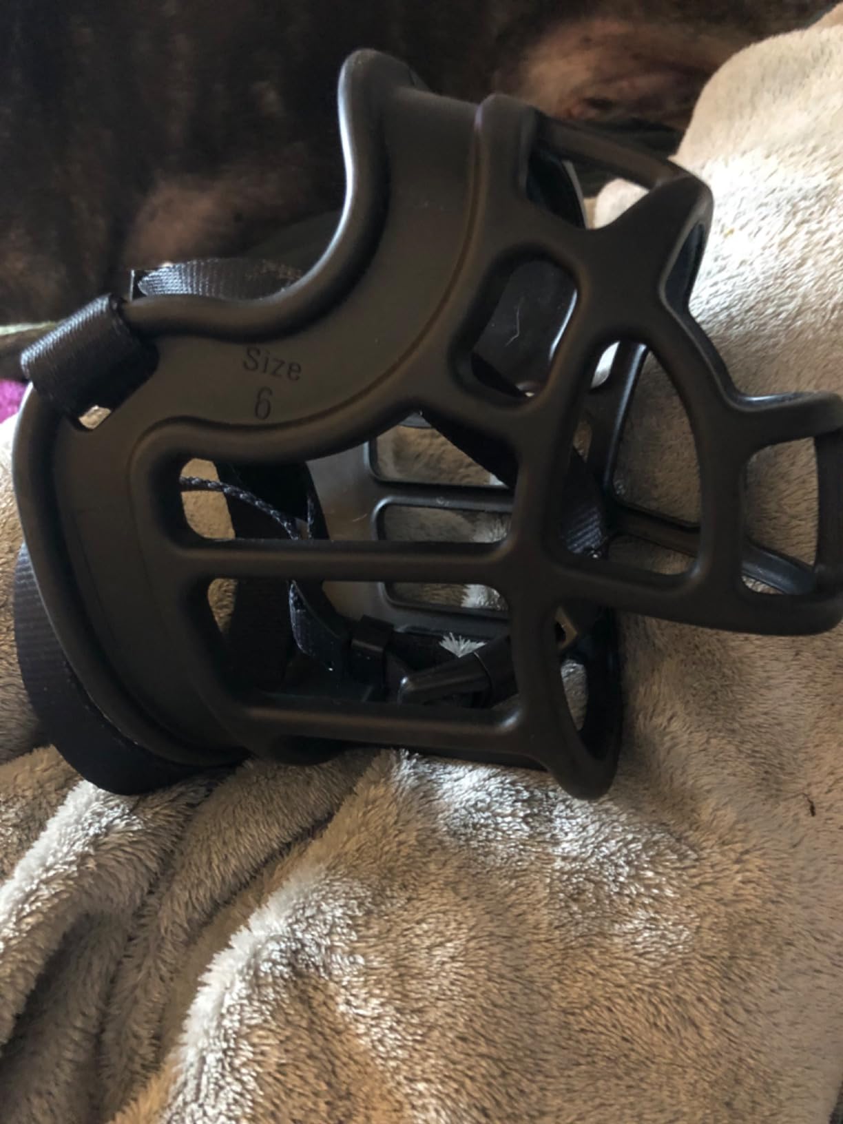 BARKLESS Dog Muzzle, Basket Muzzle Anti Biting Chewing for Medium Large Dog | Sturdy, Lightweight Cage Mouth Guard Allows Panting Drinking, Suitable for Grooming Trimming Training, Black 3 customer photo 2