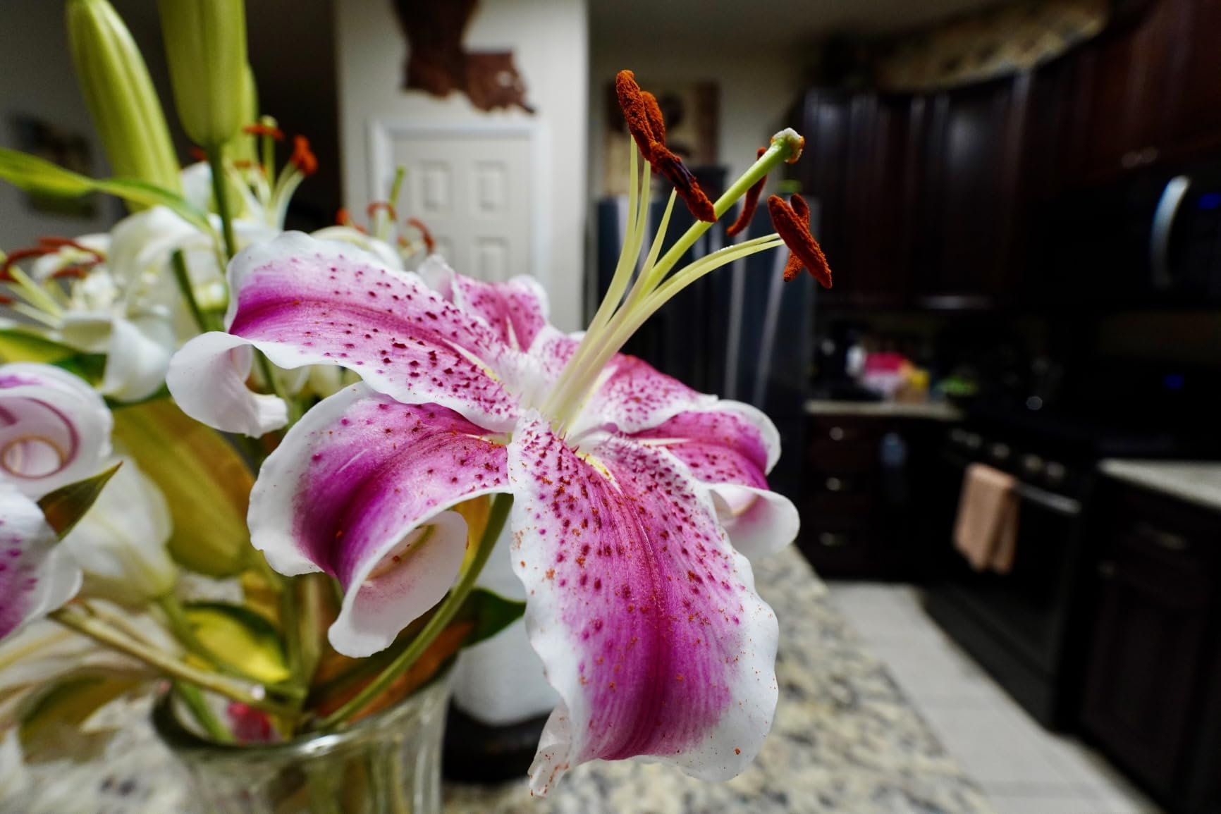 Sony E 11mm F1.8 APS-C Ultra-Wide-Angle Prime for Cameras customer photo 1