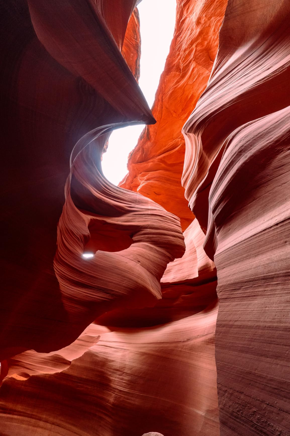 Sony E 11mm F1.8 APS-C Ultra-Wide-Angle Prime for Cameras customer photo 2