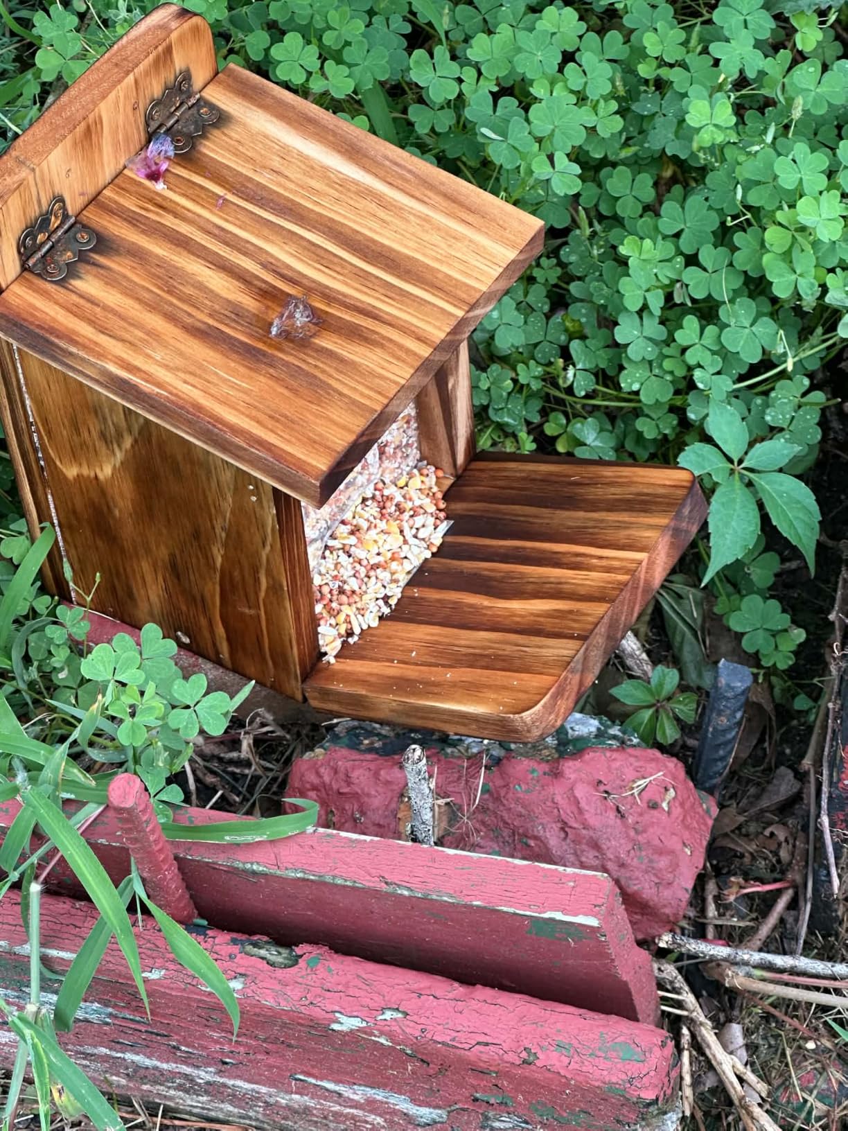 MIXXIDEA Wooden Squirrel Feeder Box, Sturdy Squirrel Feeding House with Thickness 1.5CM Wood, No Assembly Required, for Backyard Outside Garden (1 PCS) customer photo 1