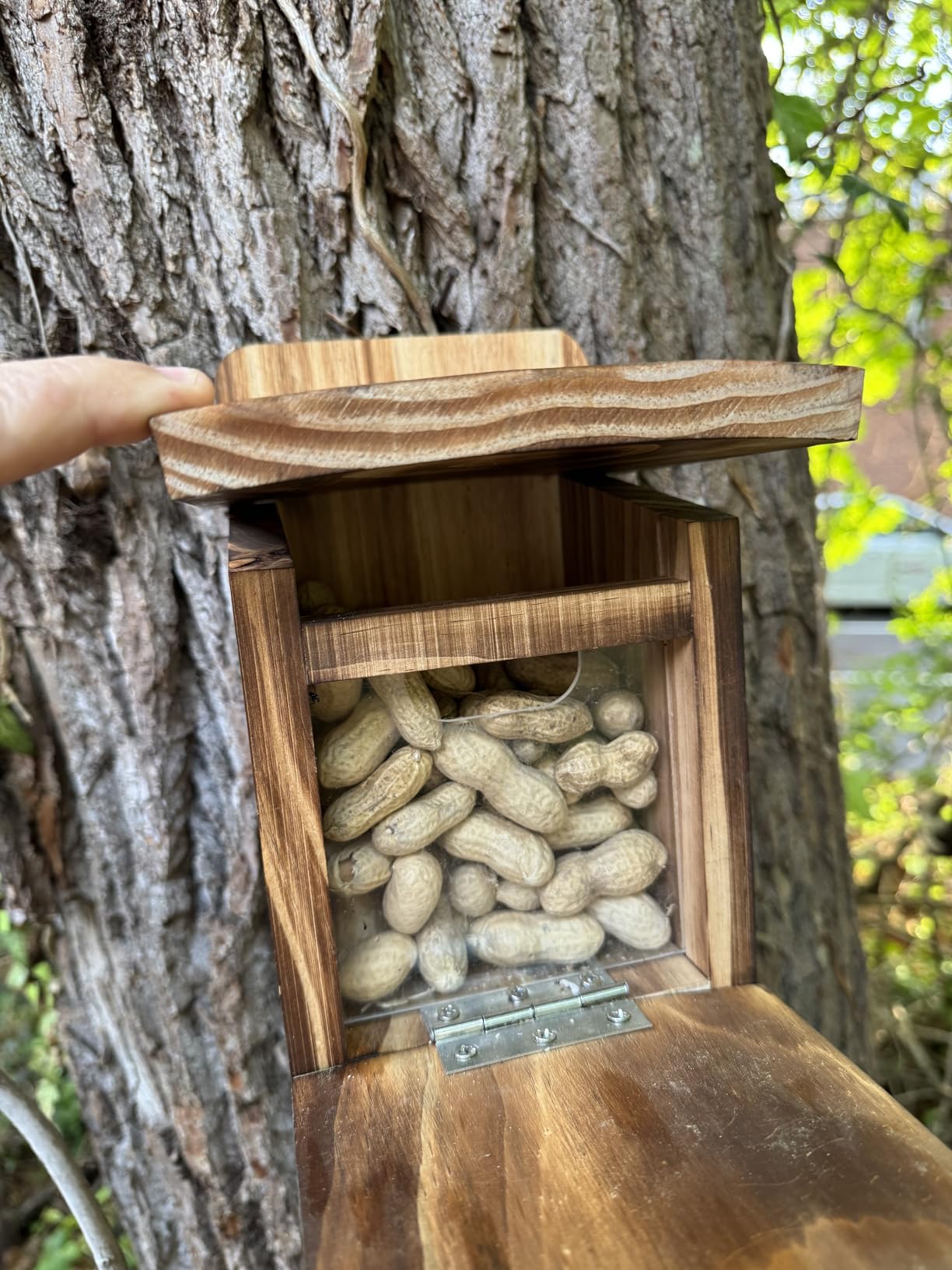 MIXXIDEA Wooden Squirrel Feeder Box, Sturdy Squirrel Feeding House with Thickness 1.5CM Wood, No Assembly Required, for Backyard Outside Garden (1 PCS) customer photo 2