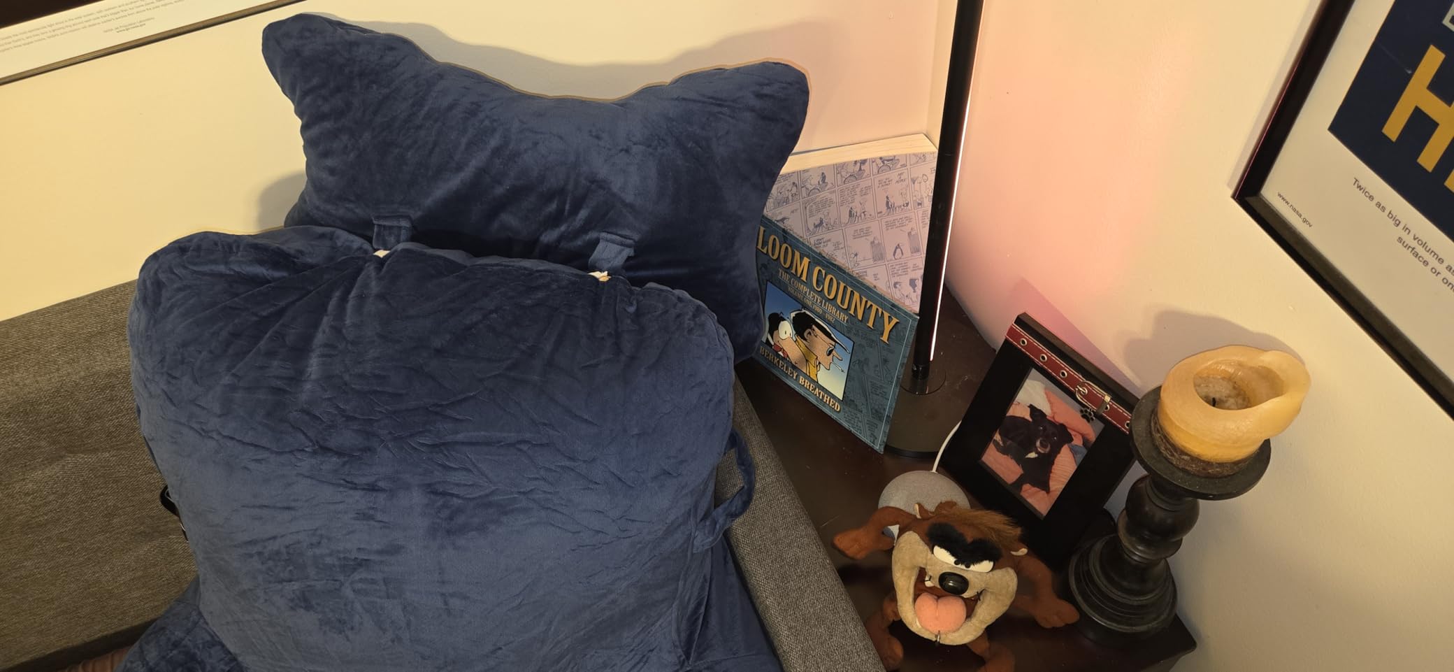 Reading Pillow-Extra Large 31
