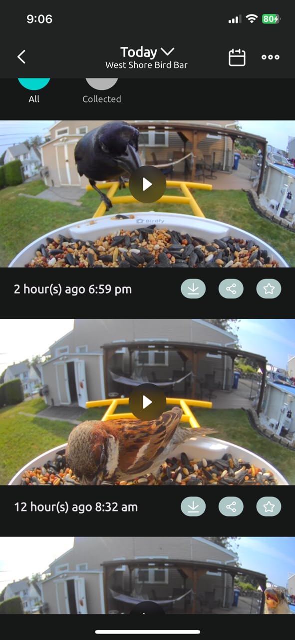 NETVUE by Birdfy Smart Bird Feeder with 2K AI Camera, Value for Beginners | Accurate AI Bird ID, Auto Records & Smart Notification, Free Cloud Storage, Easy Setup & App, Work with Alexa customer photo 2