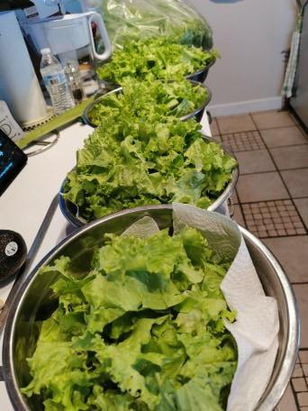 Cuisinart Large Salad Spinner, Wash, Spin & Dry Salad Greens, Fruits & Vegetables, 5 Quart, Grey customer photo 2