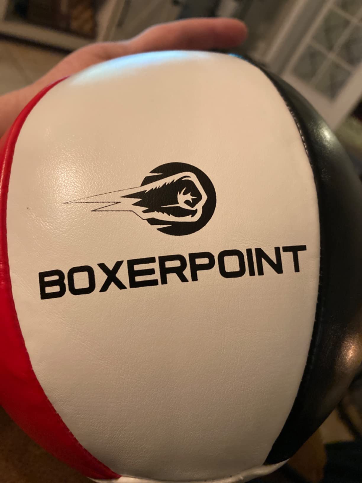 Boxerpoint Bag for Boxing - Premium Punching Bags - Durable PU Leather & Adjustable Cords Double Ended Punching Bag, Speed Bags for Adults, Boxing Equipment customer photo 1