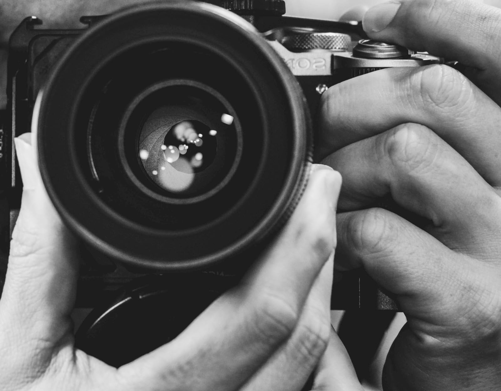 Venus Laowa 90mm f/2.8 2X Ultra Macro APO Lens for Sony E Mount Mirrorless Camera, Black customer photo 1