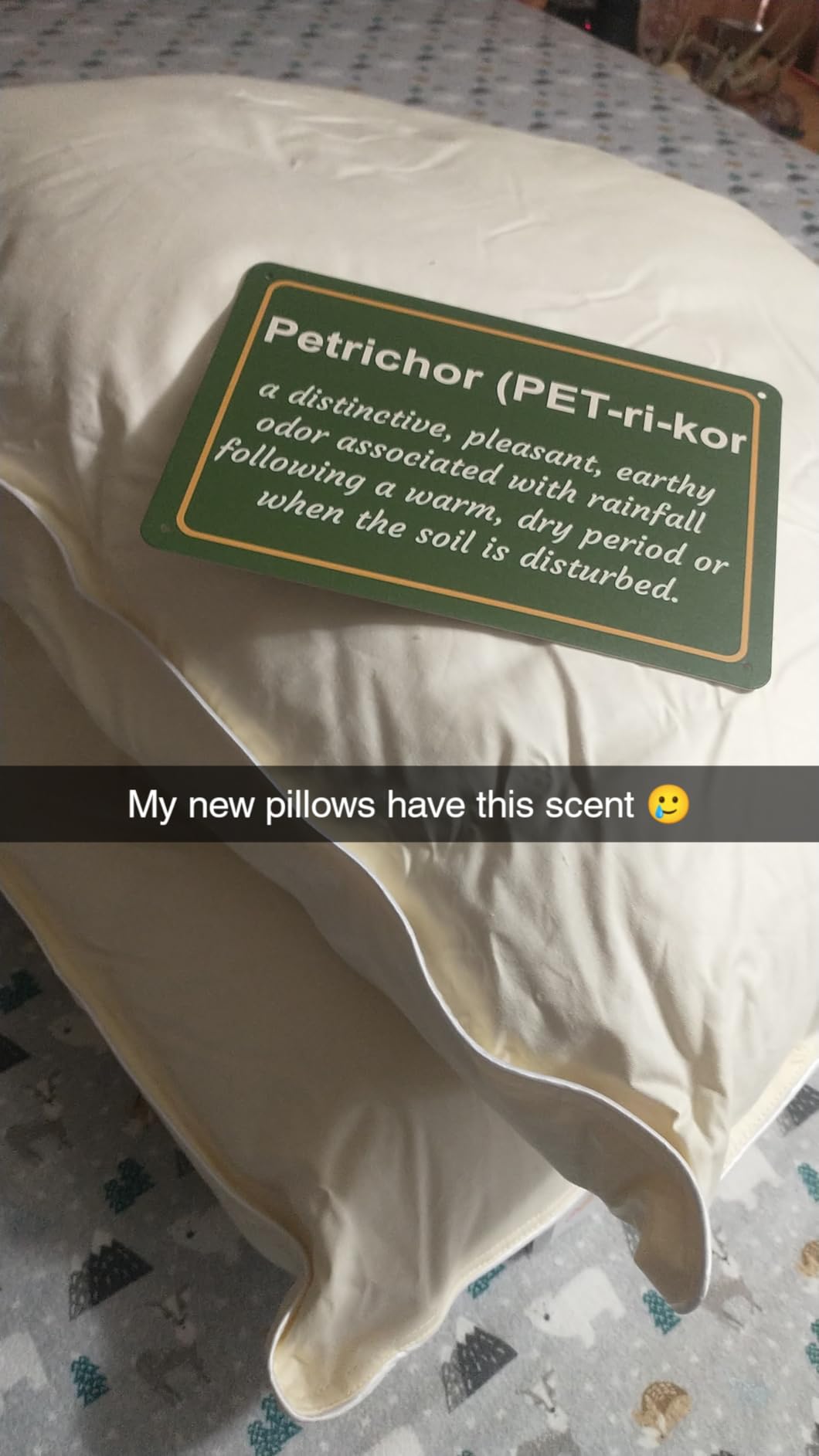 Cheer Collection Set of 2 Organic Kapok Bed Pillows, Natural Kapok Fiber Filled Sleeping Pillows with Breathable Cotton Shell, Standard Size, 20 x 28 inches customer photo 1