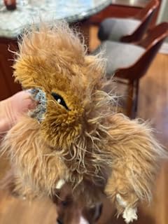 BARKBOX Best of BarkBox Interactive Plush Dog Toy Bundle customer photo 2