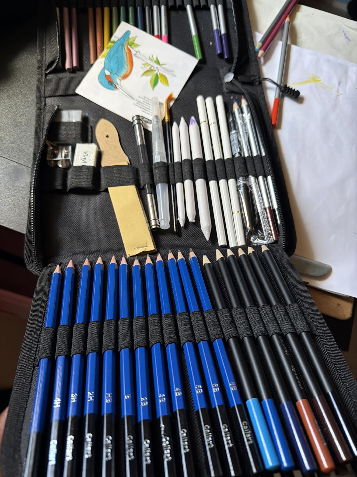 Caliart 176PCS Art Supplies Sketching Kit, 100 Sheets 3-Color Sketch Book | Graphite Colored Charcoal Watercolor & Metallic Pencils, Drawing Supplies Set Gifts for Adults Teens Girls Boys Kids customer photo 1