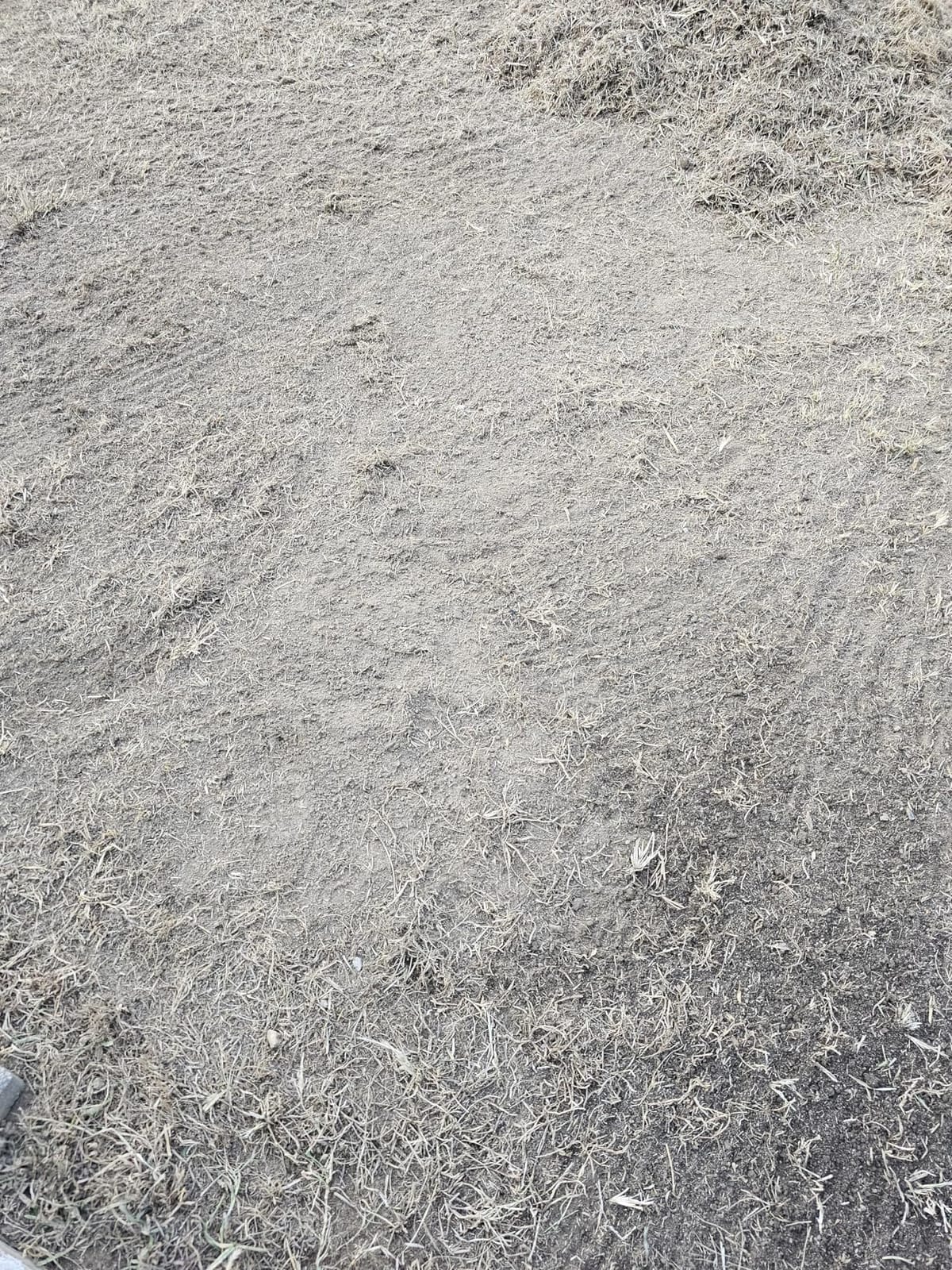 WEN DT1516 16-Inch 15-Amp 2-in-1 Electric Dethatcher and Scarifier with Collection Bag customer photo 2