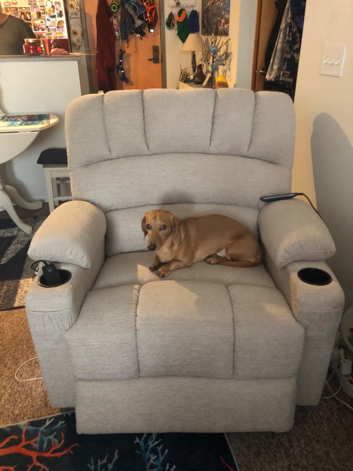 MCombo Power Lift Recliner Chair for Elderly, Heat and Massage, 7095 customer photo 1