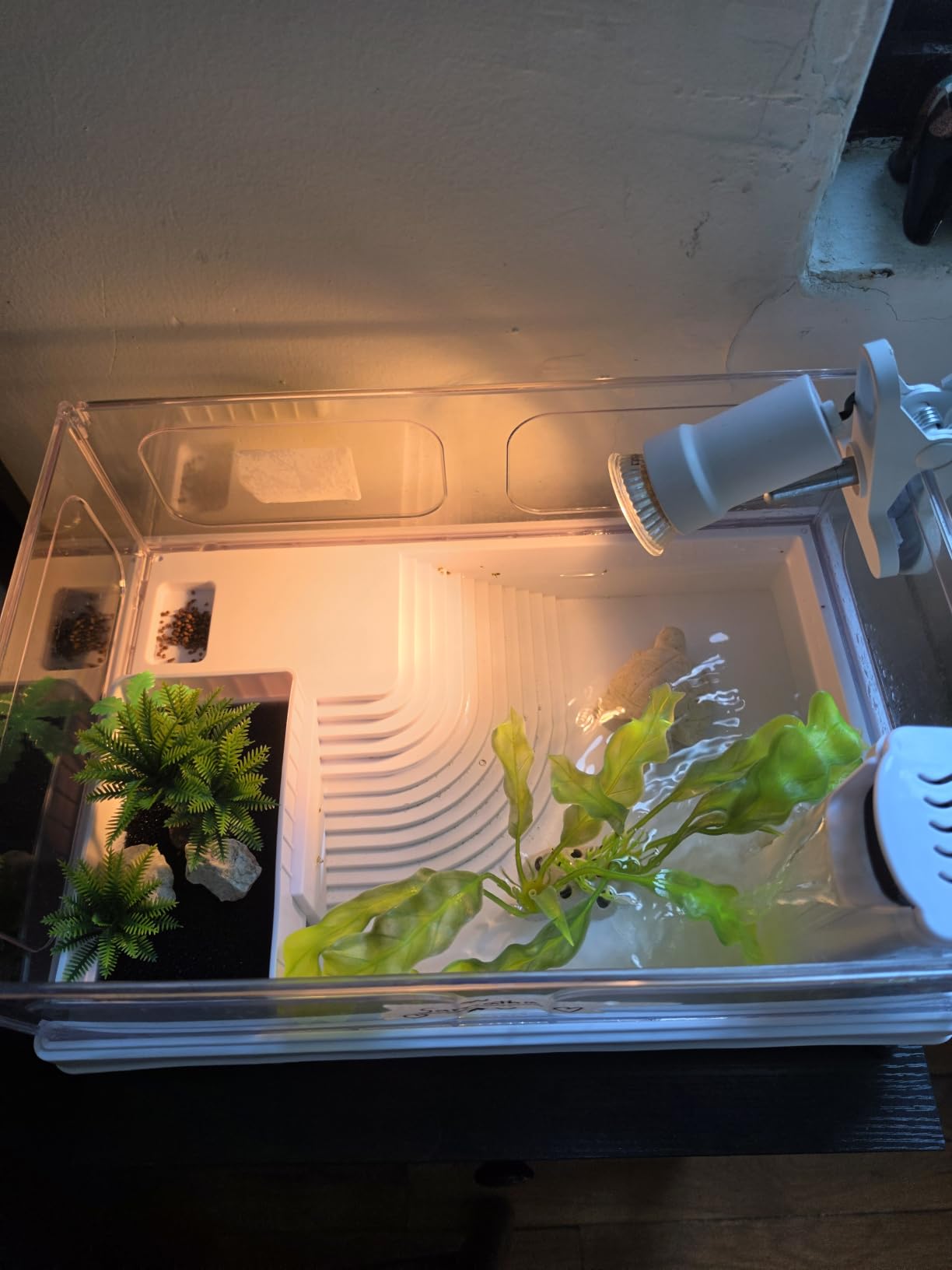 MoonOrange Small Turtle Tank Kit (Tank+Light+Filter), Acrylic Turtle Tank Starter Kit with Bask Platform, Bottom Drain, Multi-Function Area for Small Reptiles (White) customer photo 1
