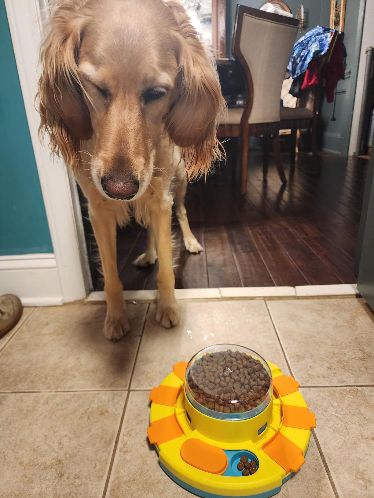 Potaroma Dog Puzzle Toy 2 Levels, Slow Feeder, Pup Food Treat Feeding Dispenser for IQ Training and Entertainment for All Breeds 4.2 Inch Height customer photo 2