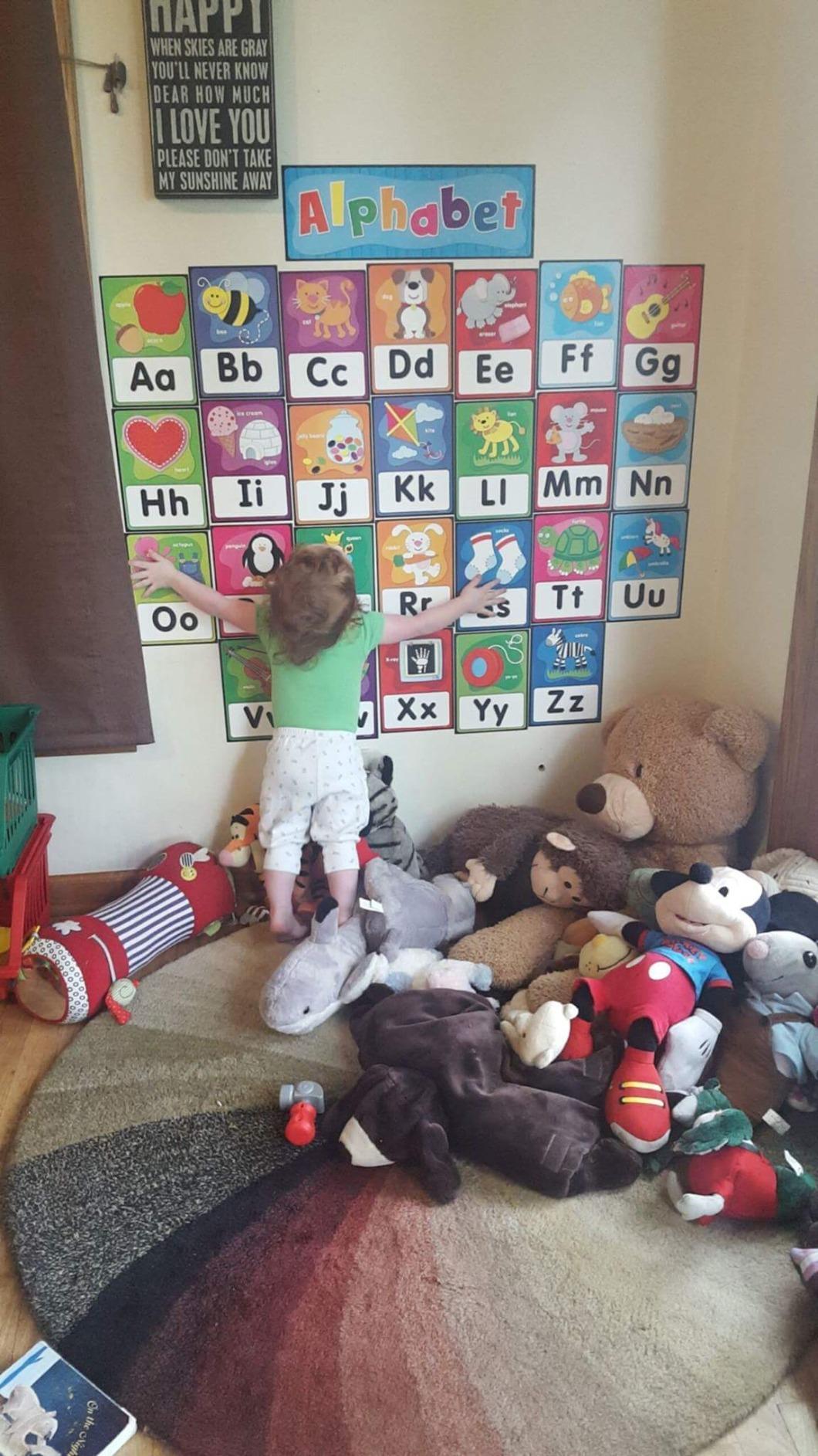 Carson Dellosa 31 pc Bundle of Photographic Alphabet and Number Line | ABC, Word Families, and Counting Toddler Learning Posters customer photo 2