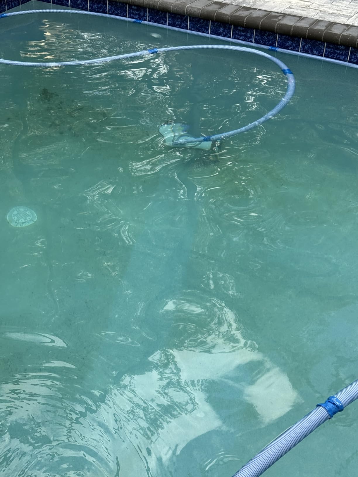 Polaris MAXX Premium Suction-Side Automatic Pool Cleaner | Smart Navigation and HALO Technology for Easy Debris Removal, Energy Efficient, All In-Ground Surfaces customer photo 2