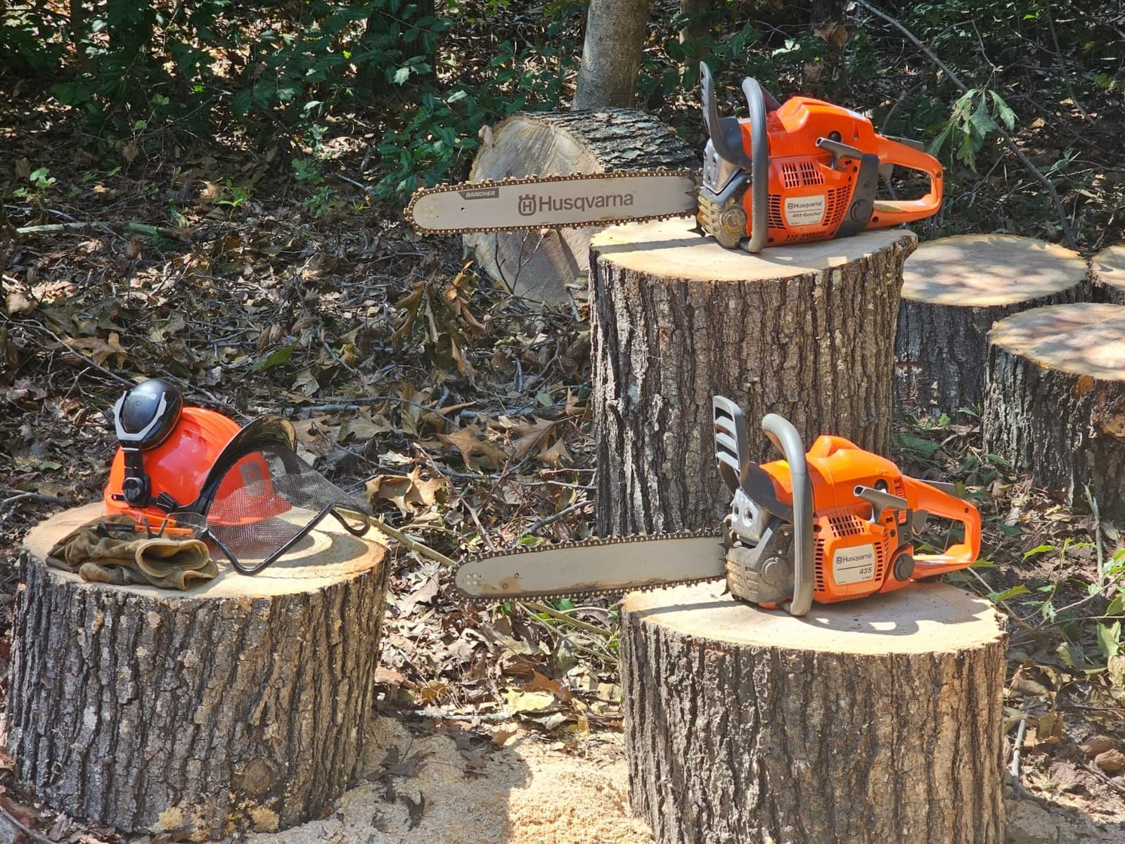 Husqvarna 455 Rancher Gas Chainsaw, 55-cc 3.5-HP, 2-Cycle X-Torq Engine, 20 Inch Chainsaw with Automatic Oiler, For Wood Cutting, Tree Trimming and Land Clearing customer photo 2