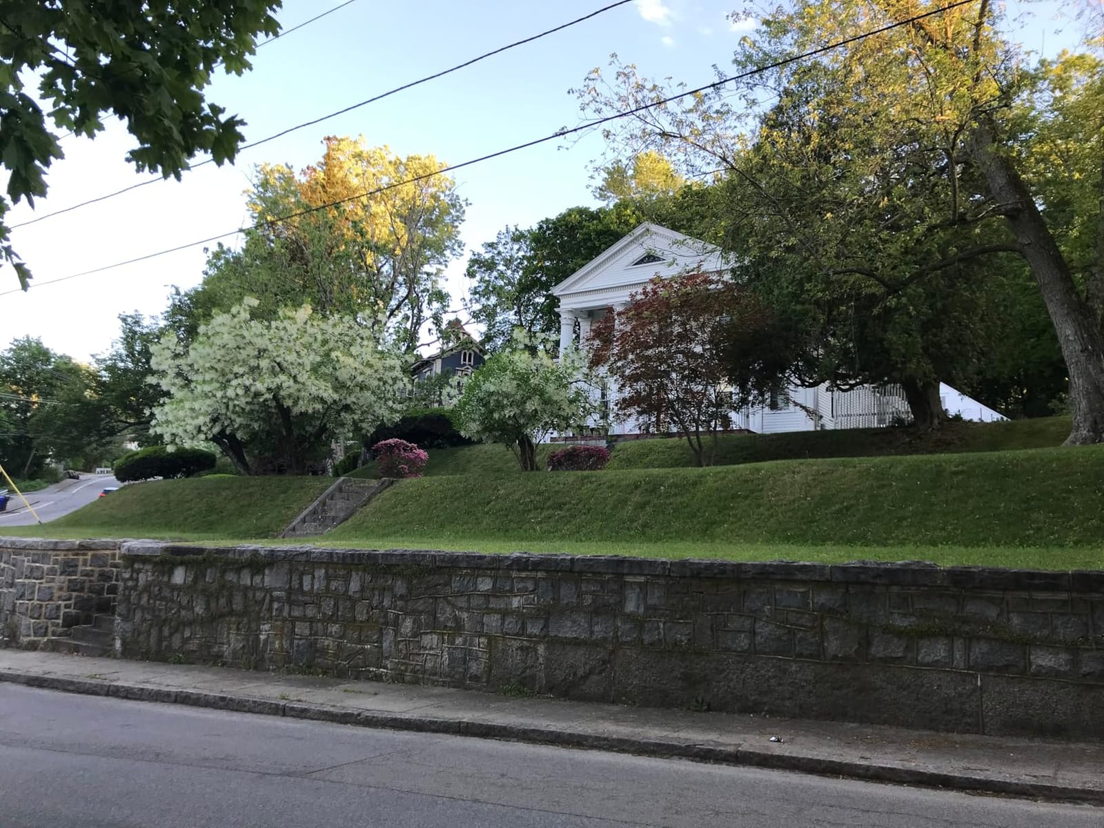 Remote Controlled Lawn Mower | 55° Slope Capability | Hybrid Self-Charging Dual Battery | Brushless Motors | Zero Turn | Adjustable Cutting Deck customer photo 1