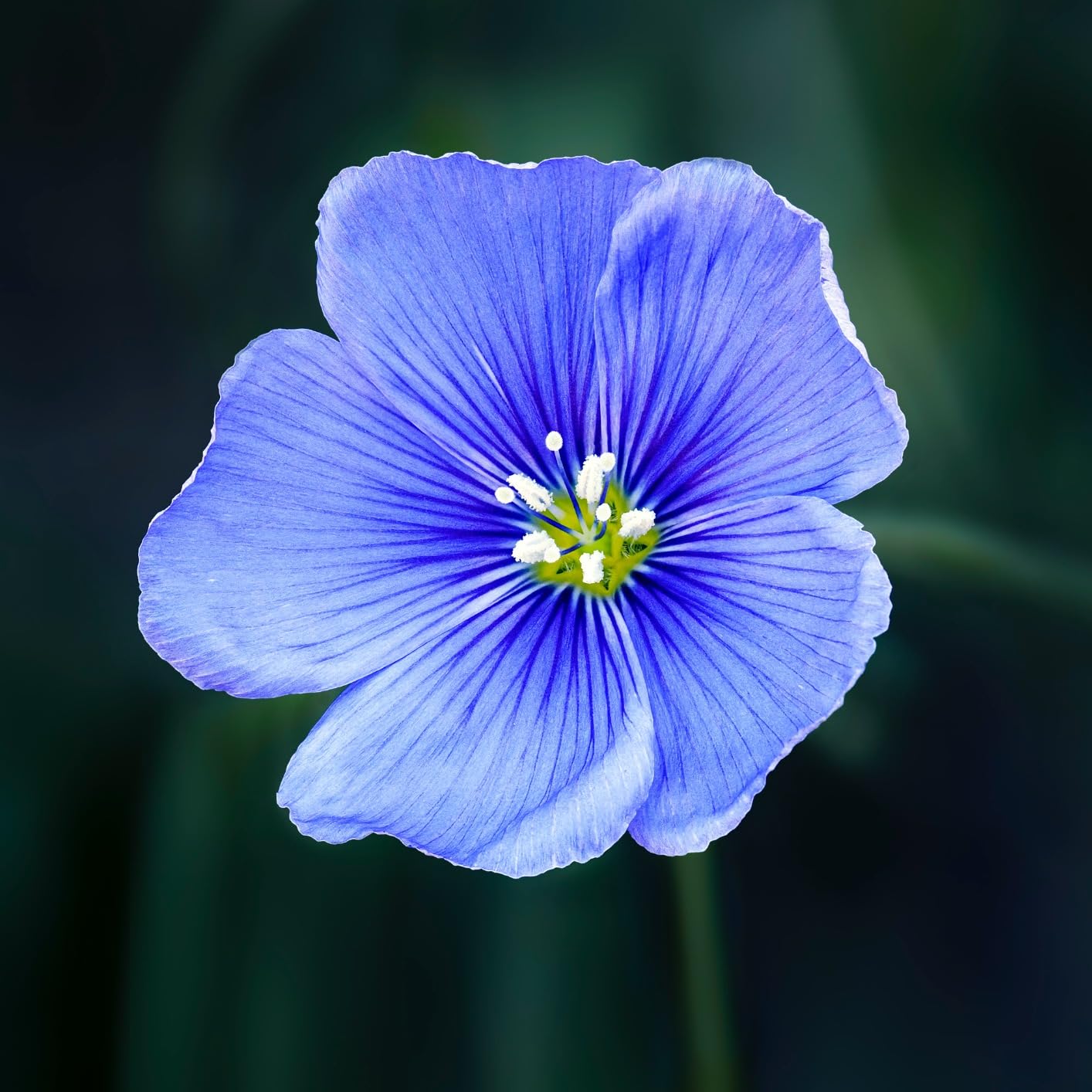 OM SYSTEM Olympus M.Zuiko Digital ED 90mm F3.5 Macro is PRO for Micro Four Thirds System Camera customer photo 2