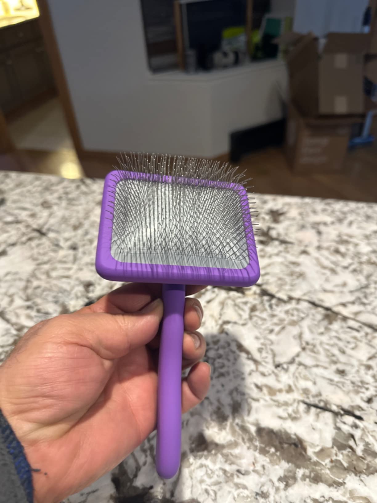 Small Slicker Brush, Purple, Hair Brush for Curly Wavy Haired Dogs - Poodles, Doodles, Bichon, Bernese Mountain Dog, Cocka Spaniels - Detangling, Grooming, Deshedding - 1 inch customer photo 1
