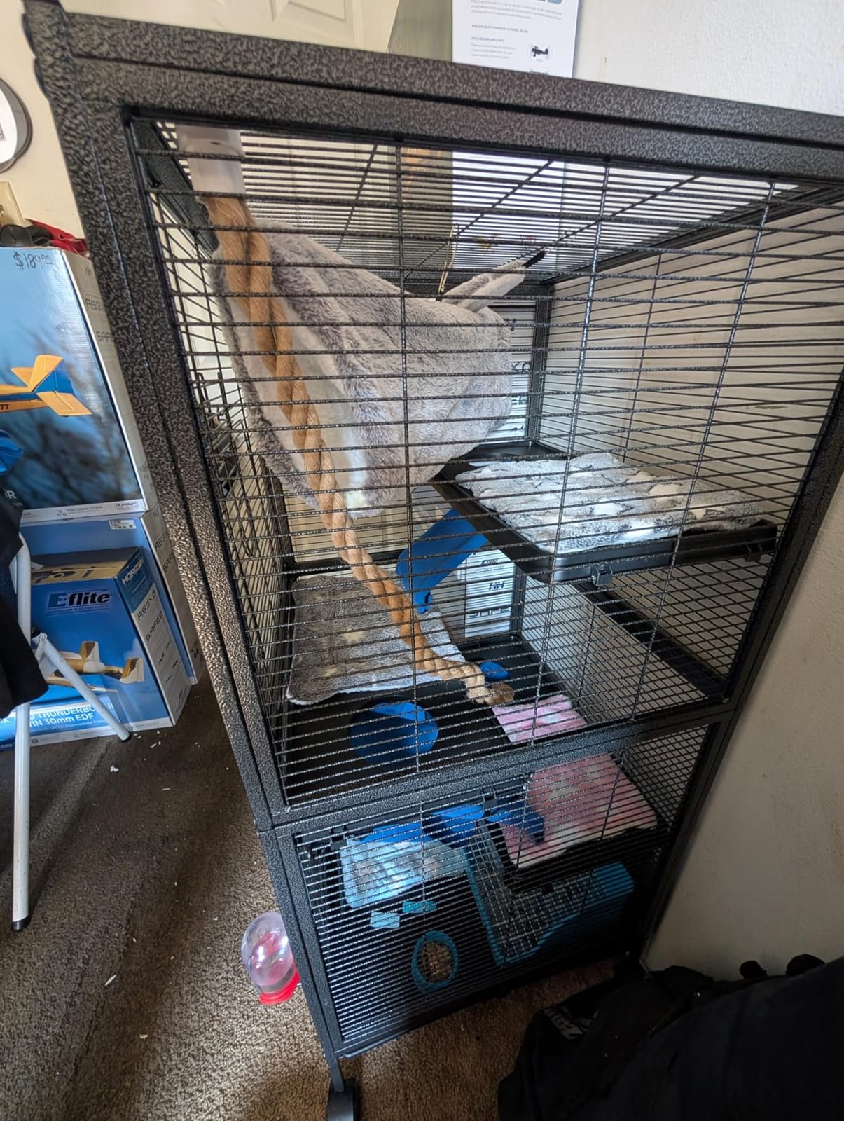 HABUTWAY 50''H Metal Small Animal Cages, Rolling Chinchilla Cage with Removable Ramps, Lagre Cage for Chinchillas/Guinea Pigs/Rabbit, Ferret Cages with Hammock & 5 Tiers, Black customer photo 1