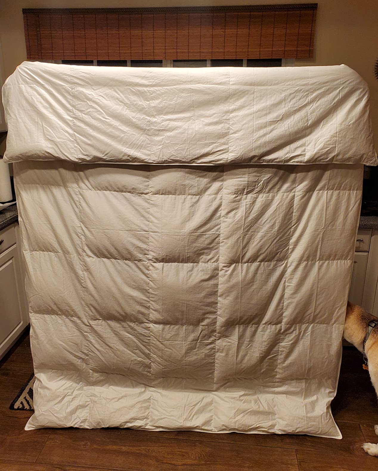 Lincove Canadian Down Comforter - Extremely Soft and Lightweight Duvet Insert - Corner Loops in Each Corner, 600 Thread Count - 100% Cotton Sateen Shell, King customer photo 1