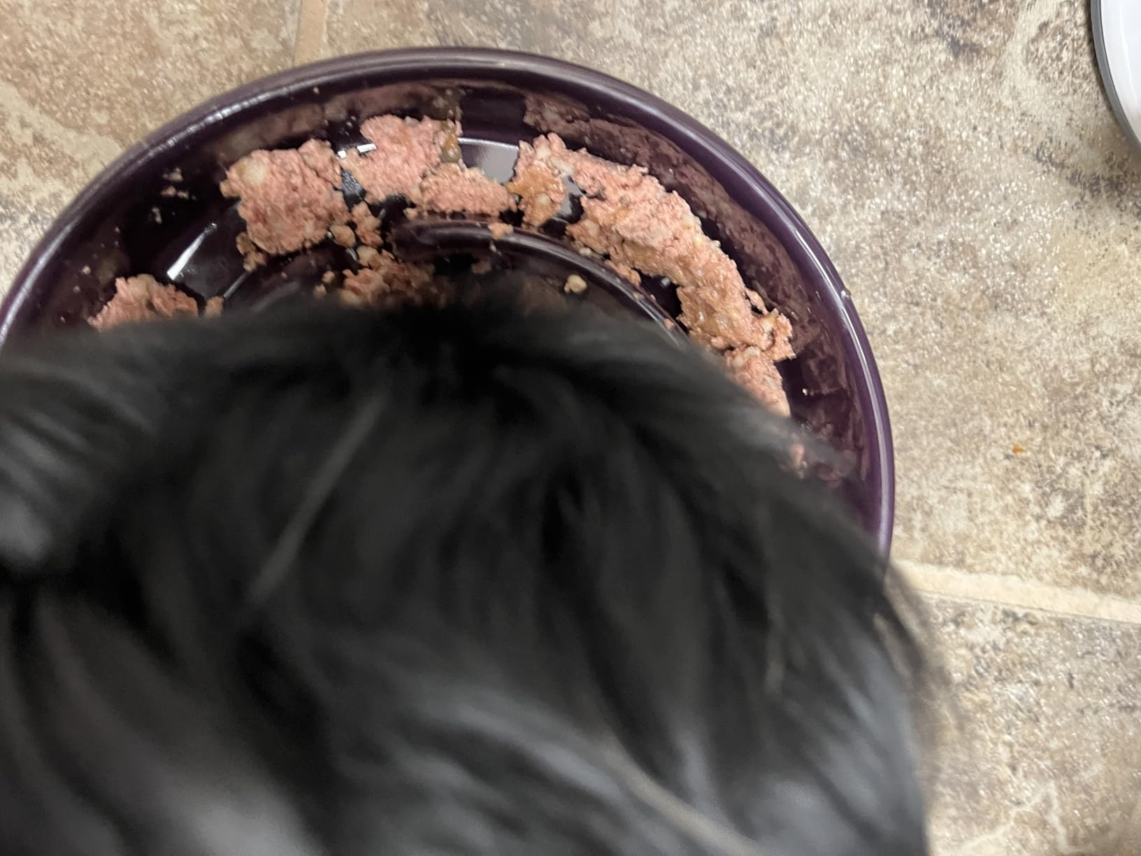 LE TAUCI Ceramic Slow Feeder Dog Bowls Small Breed, 0.6 Cups Dog Food Dish for Fast Eaters, Puzzle Bowl for Small Dogs and Cats, Purple customer photo 1