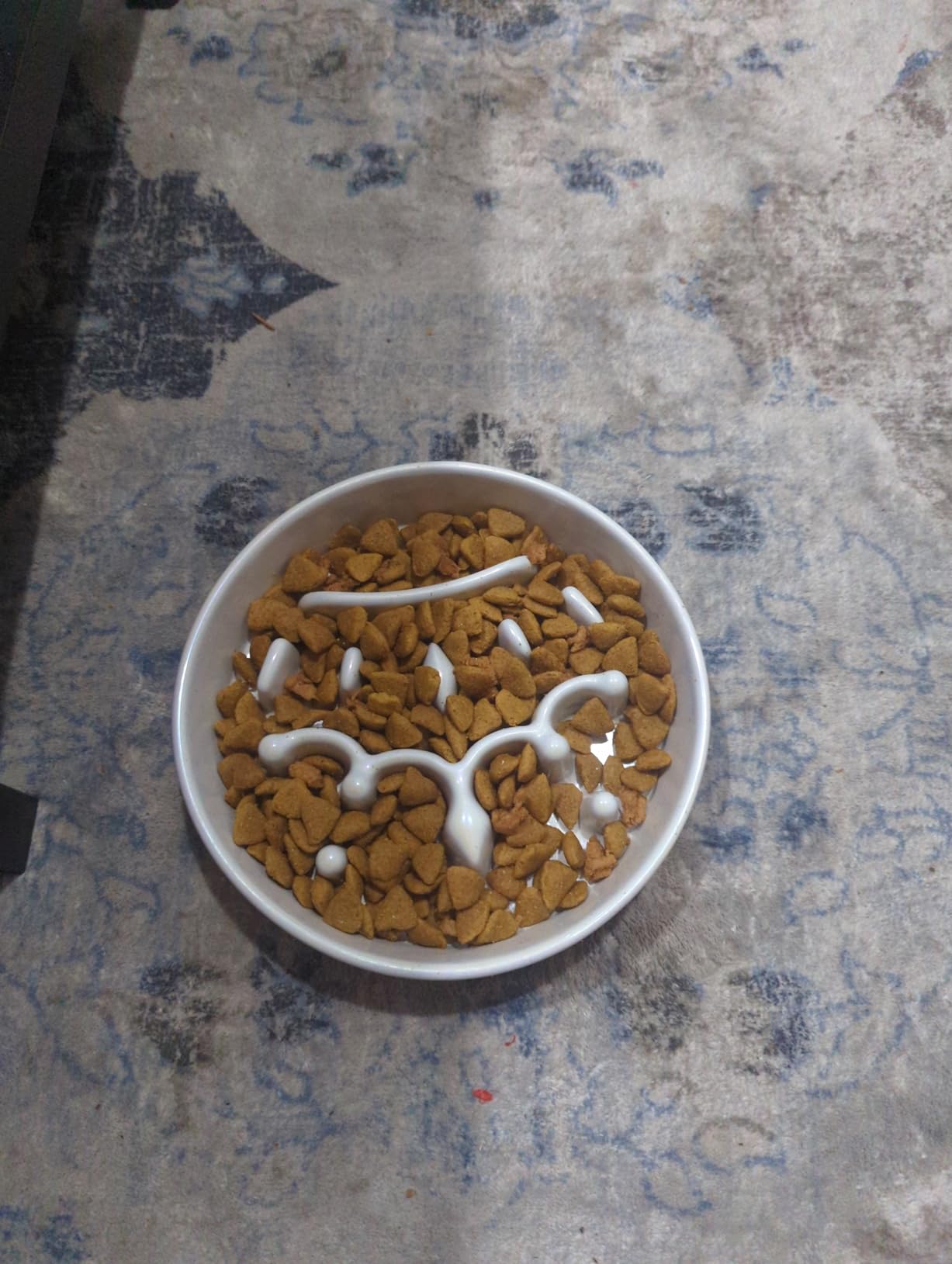 LE TAUCI Ceramic Slow Feeder Dog Bowls Small Breed, 0.6 Cups Dog Food Dish for Fast Eaters, Puzzle Bowl for Small Dogs and Cats, Purple customer photo 2