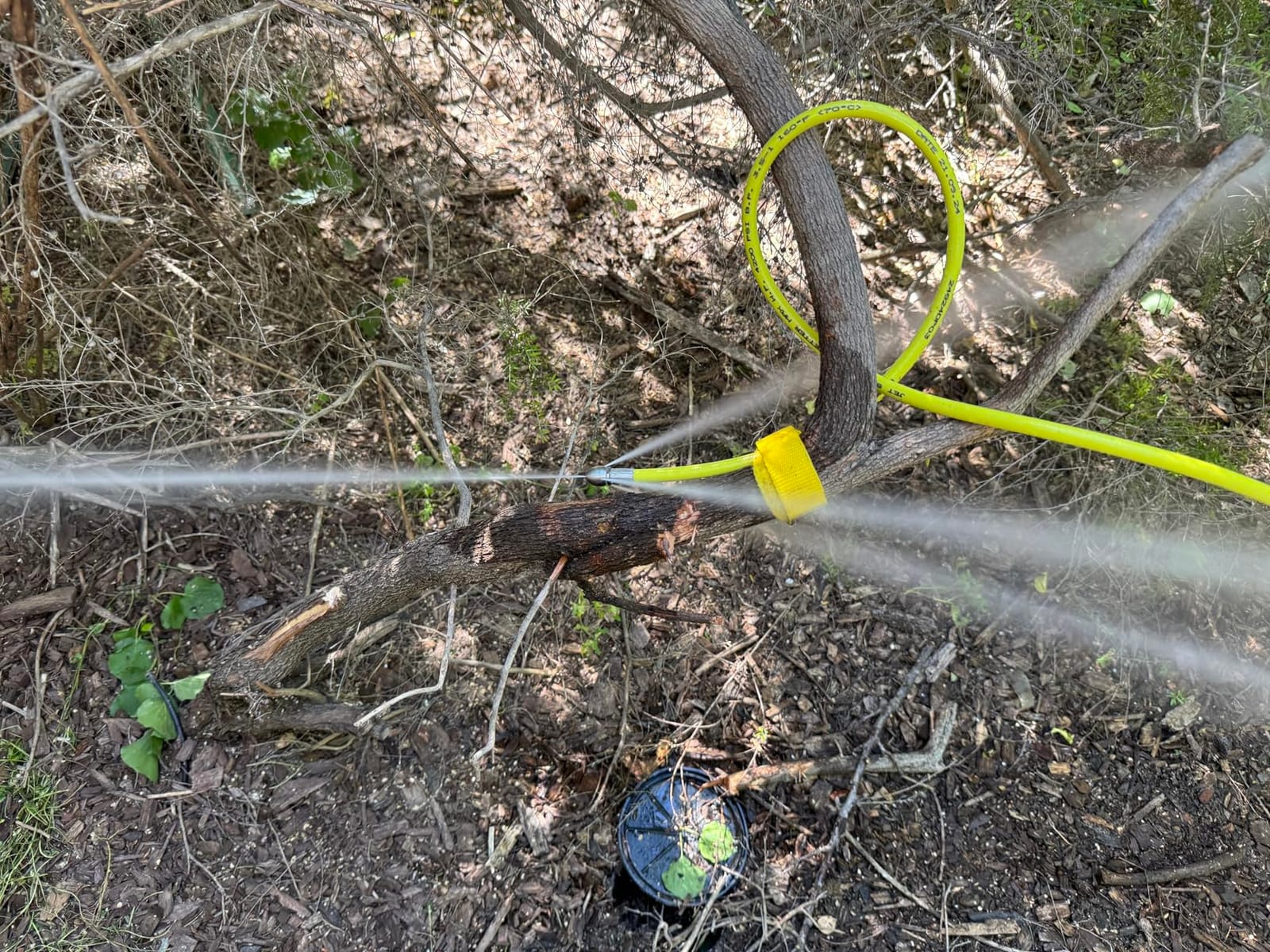 50 FT Sewer Jetter for Gas Pressure Washers - Flexible Steel Braid | Unclog sinks, laundry lines, floor drains, indoor and outdoor pipes customer photo 2