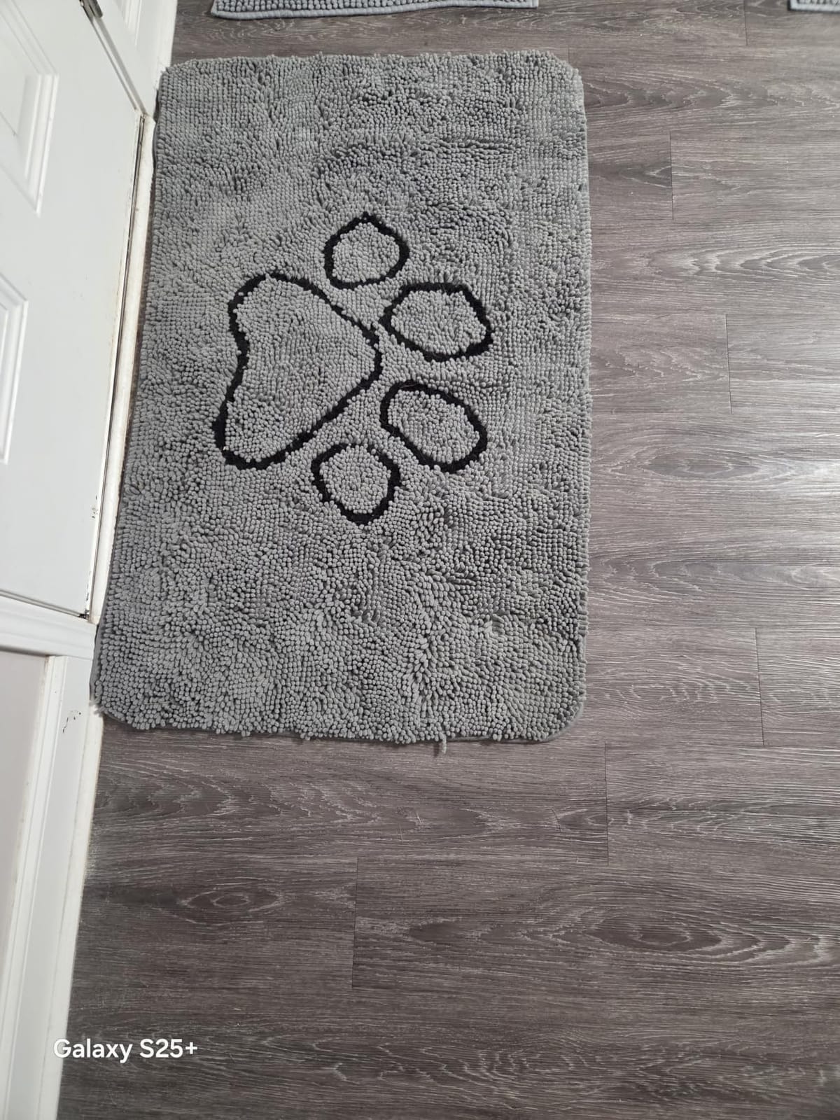 OLANLY Dog Door Mat for Muddy Paws 48x30, Super Absorbent Chenille Mud Mat customer photo 1
