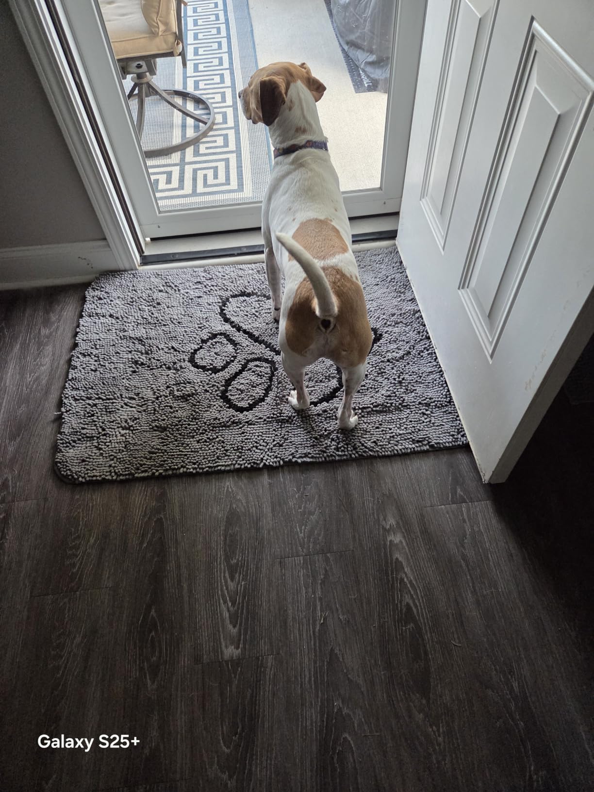 OLANLY Dog Door Mat for Muddy Paws 48x30, Super Absorbent Chenille Mud Mat customer photo 2