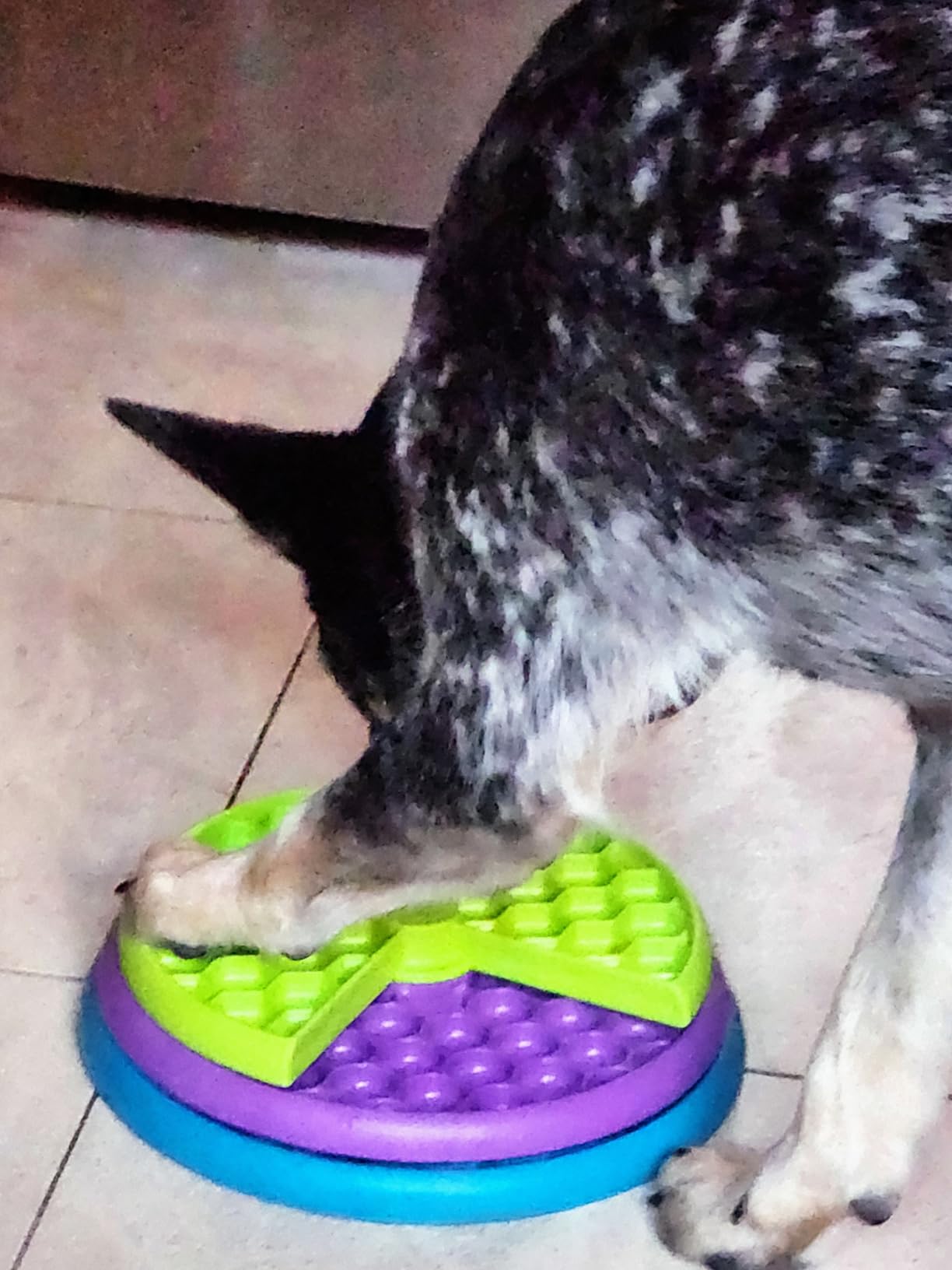 Outward Hound Nina Ottosson Lickin' Layers 3-in-1 Dog Toy Treat Puzzle, 7