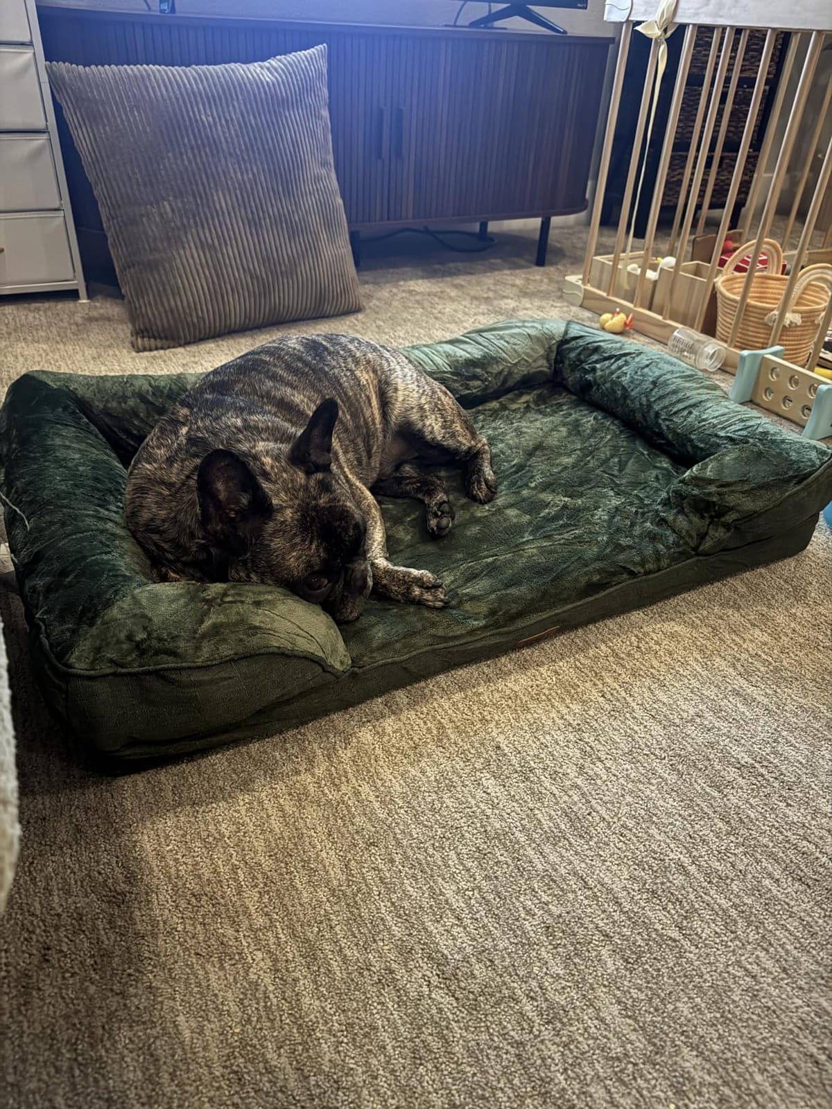 EHEYCIGA Orthopedic Dog Beds for Extra Large Dogs, Waterproof Memory Foam XL Dog Bed with Sides, Non-Slip Bottom and Egg-Crate Foam Big Pet Couch Bed with Washable Removable Cover, Camel customer photo 1