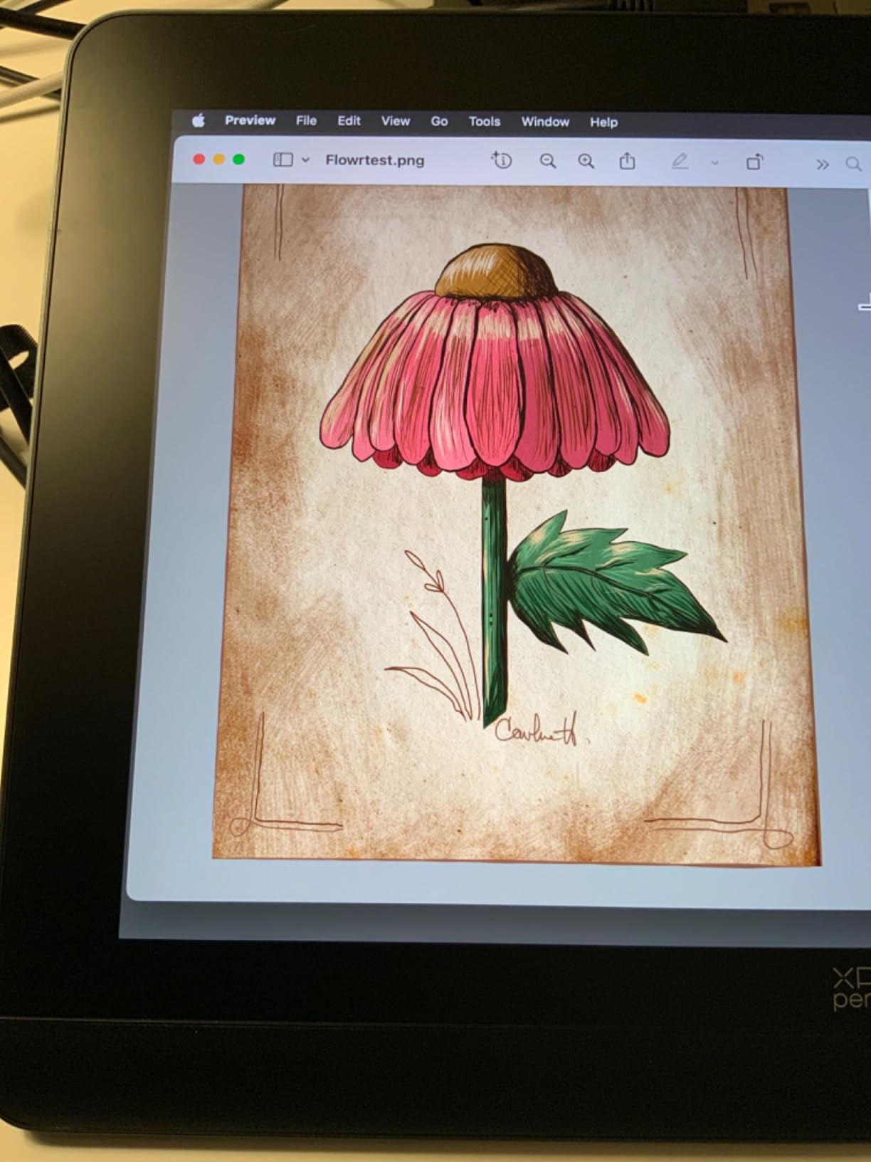 XPPen Artist Pro 14 Gen2 Drawing Tablet with Screen 14 inch Graphic Art Tablet with Full Laminated Anti-Glare Screen 16384 Pressure Levels X3 Pro Battery-Free Stylus 123% sRGB Tilt Stand Mini Keydial customer photo 2