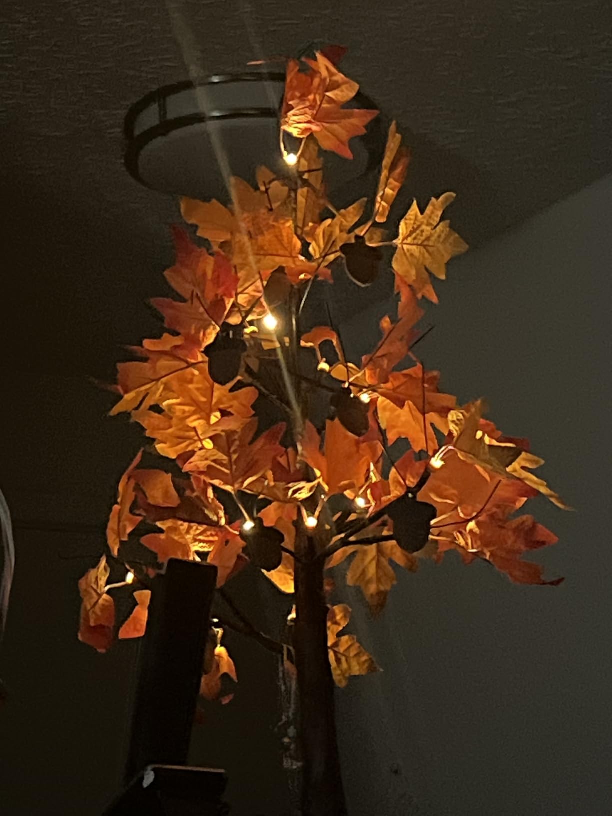 YEAHOME Fall Decorations for Home, Thanksgiving Decorations, 24