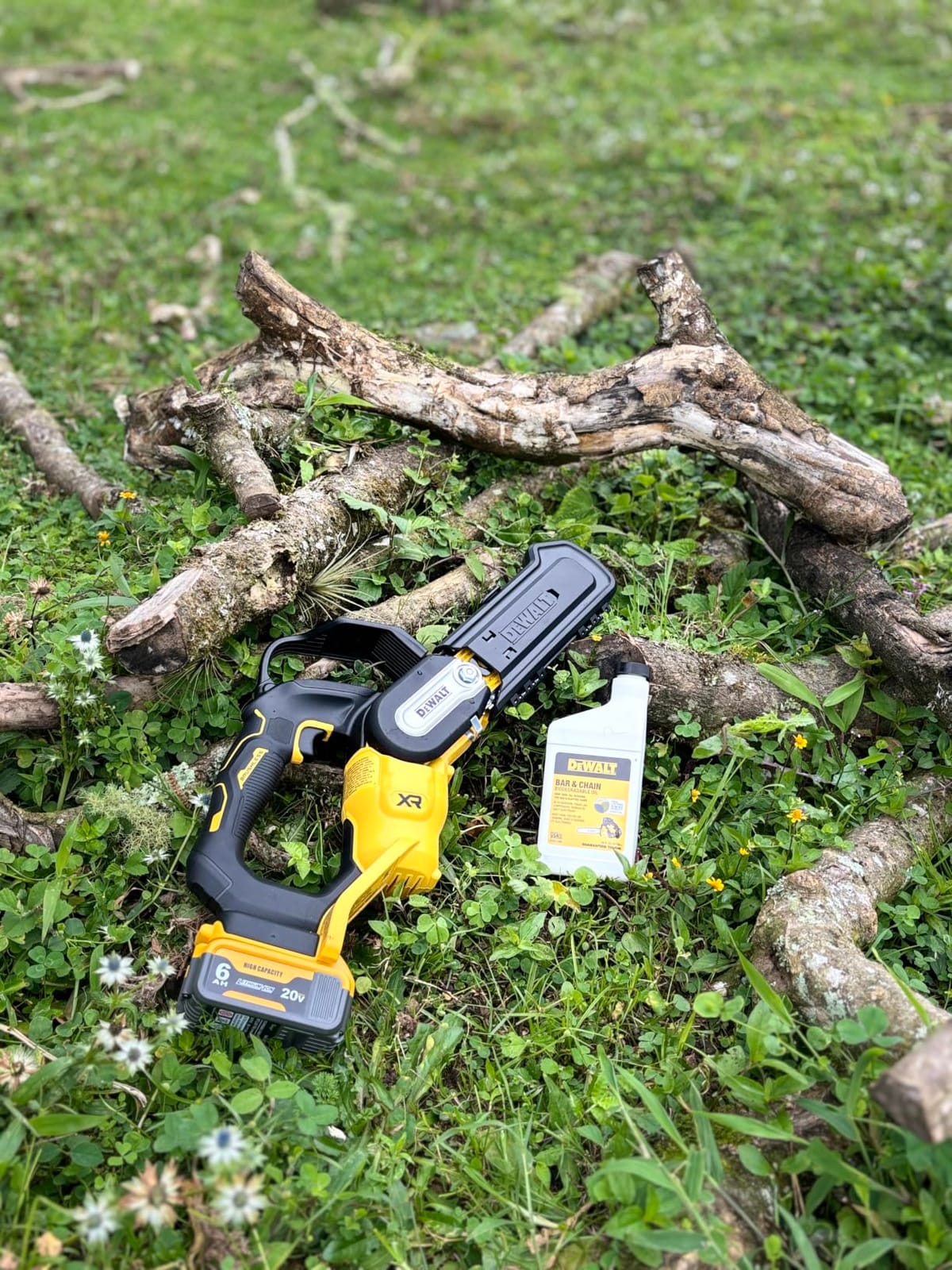 Dewalt Chainsaw Pruning CRDLS 20V 8IN DCCS623B customer photo 2