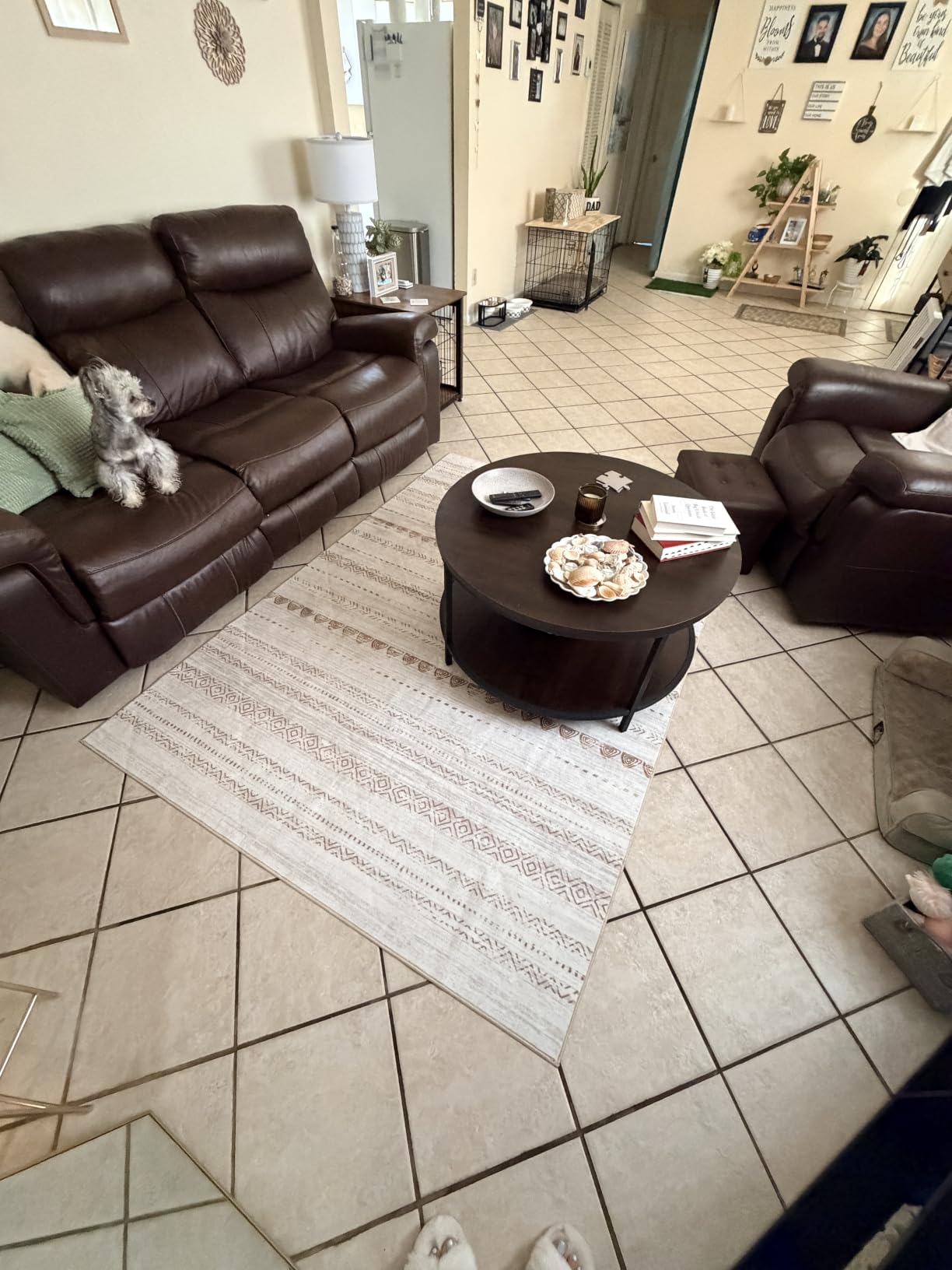 Nakagishi Boho 5x7 Area Rug Living Room Rugs Machine Washable Beige/Brown customer photo 2