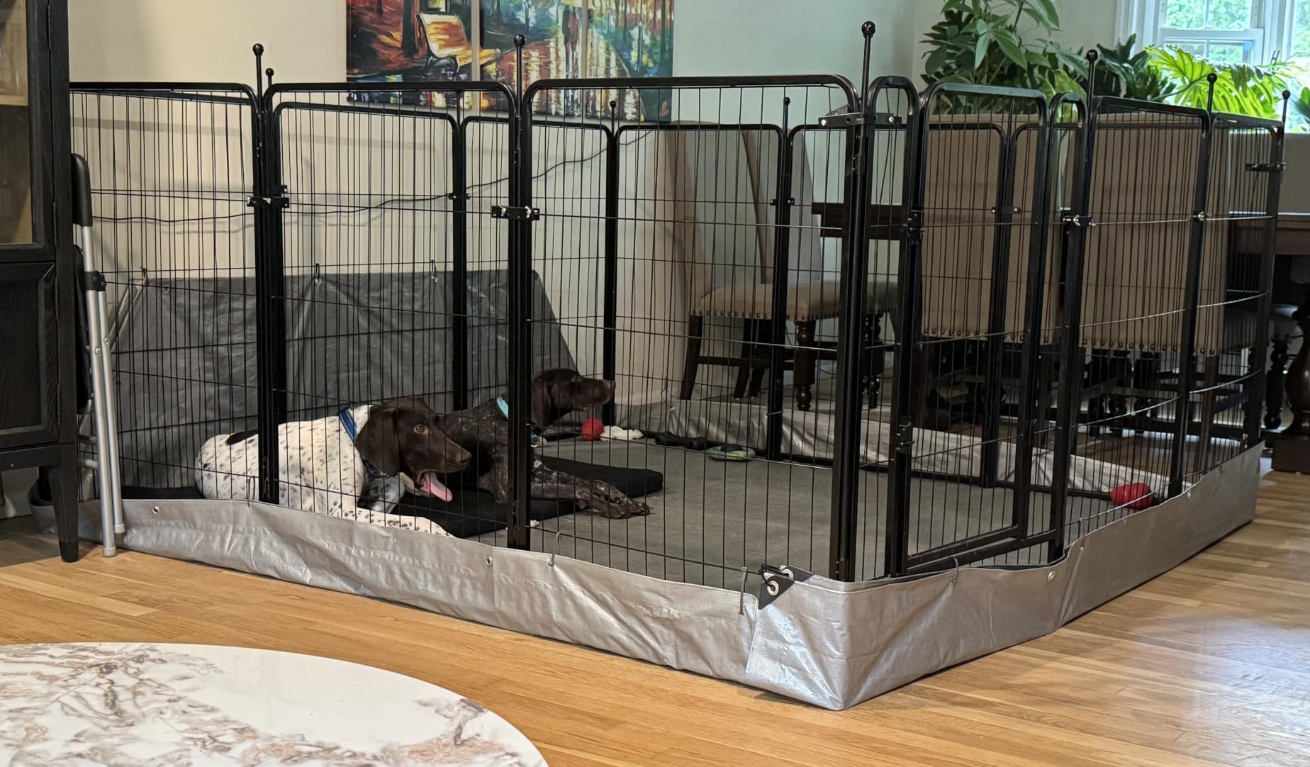 FXW Rollick Dog Playpen, Indoor, Yard & RV Camping, 50